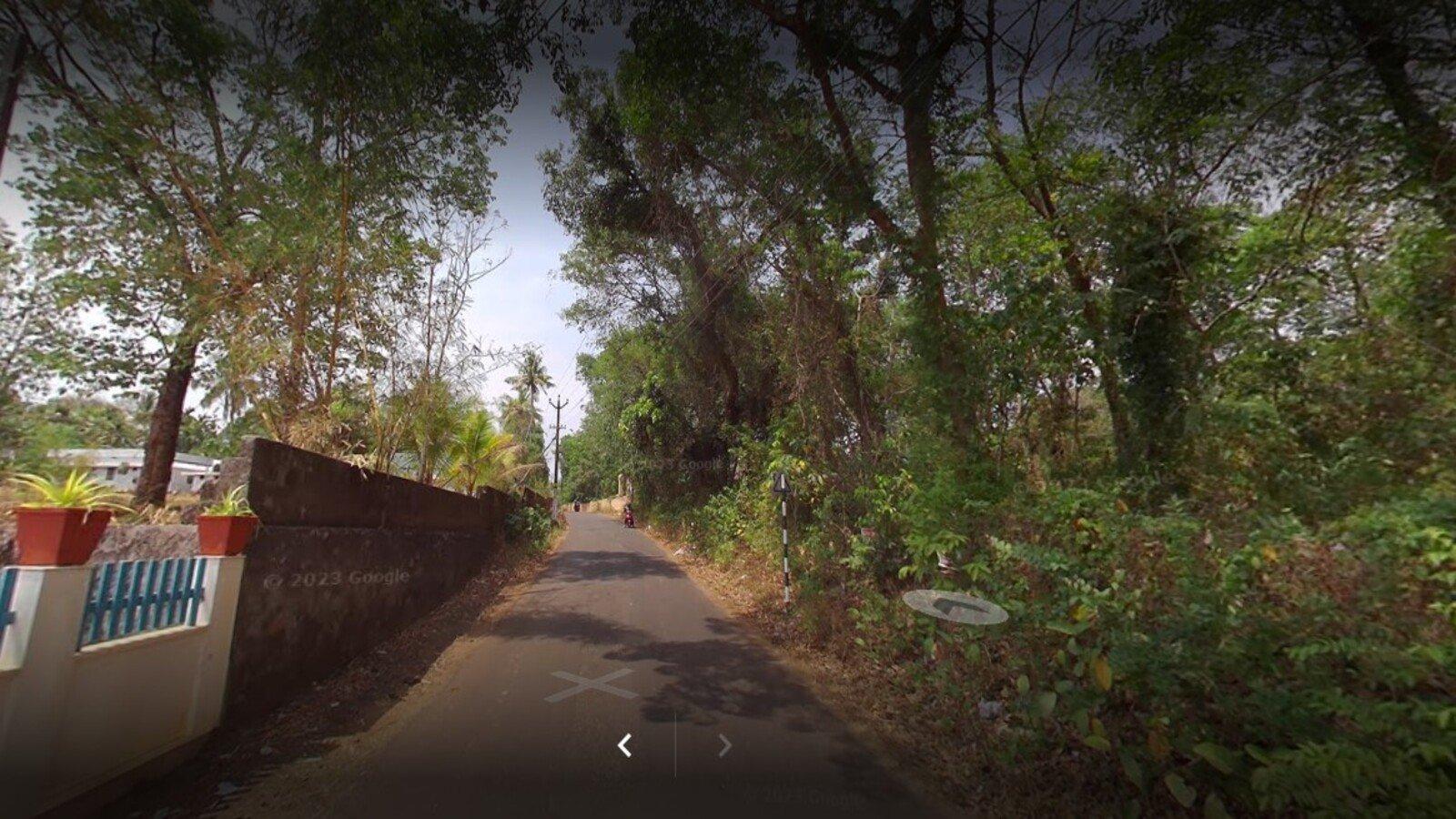 Bougain Villa — photo 14