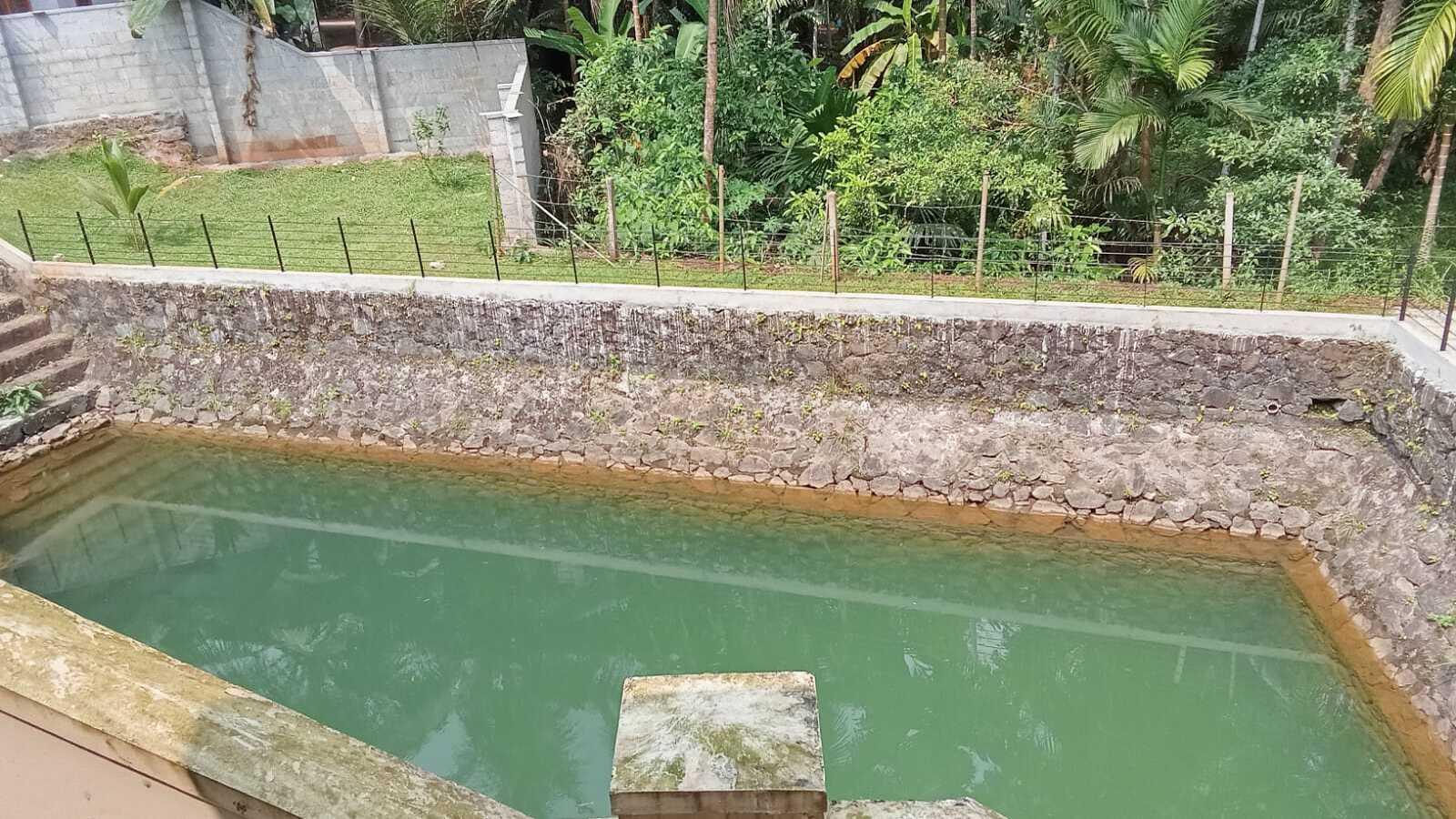 Green County - Image 2