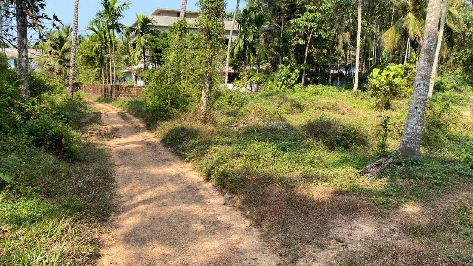 Plot At Engayilpeedika — photo 11