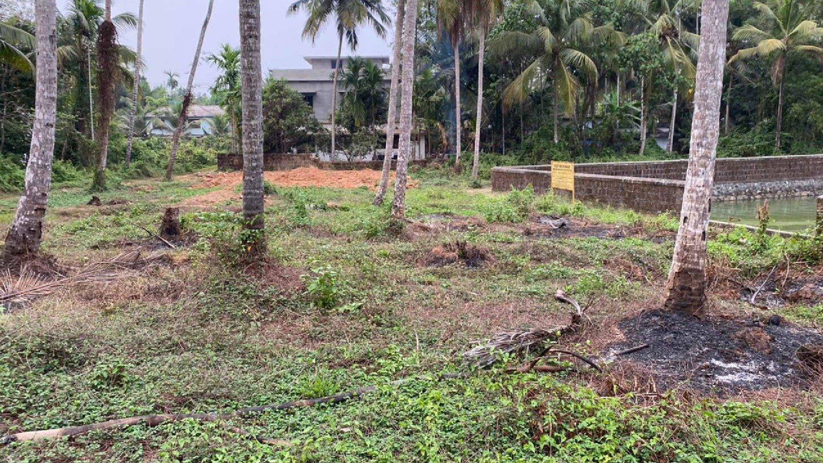 Plot At Engayilpeedika — photo 7