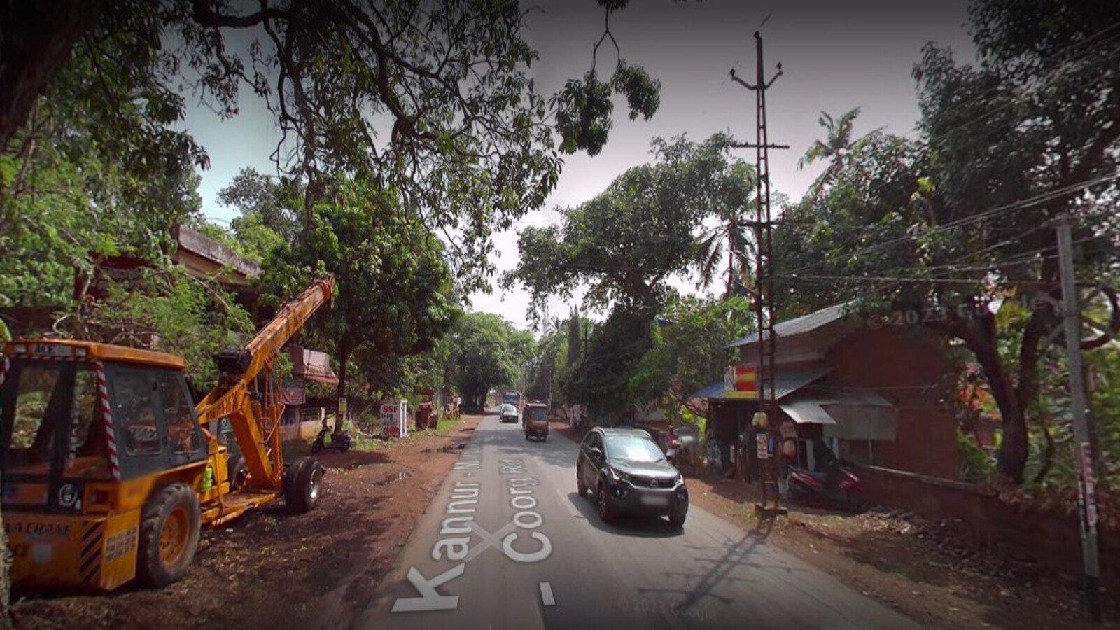 Golden Nest - Image 5