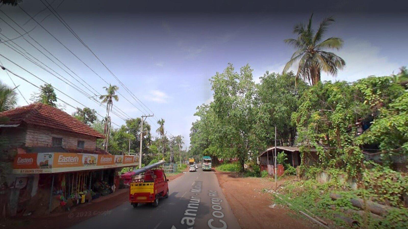 Golden Nest - Image 6