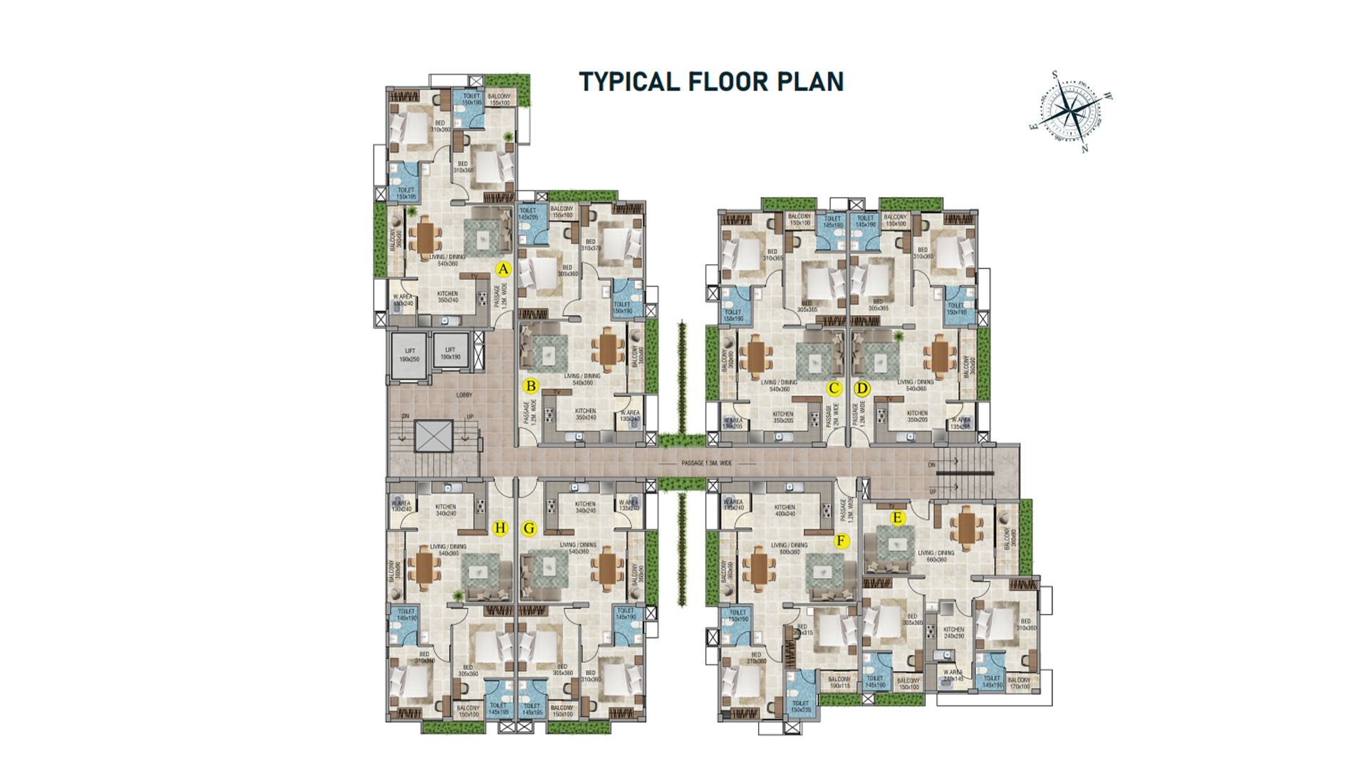 Meluha Melody - Image 3