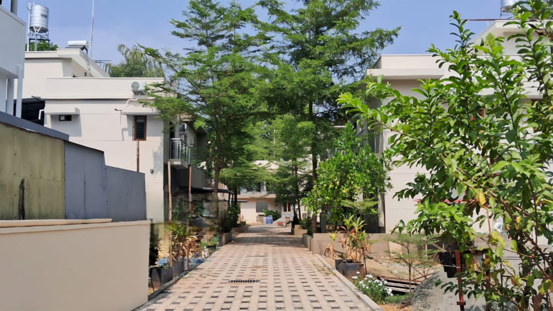 Ace Prayag - Image 3