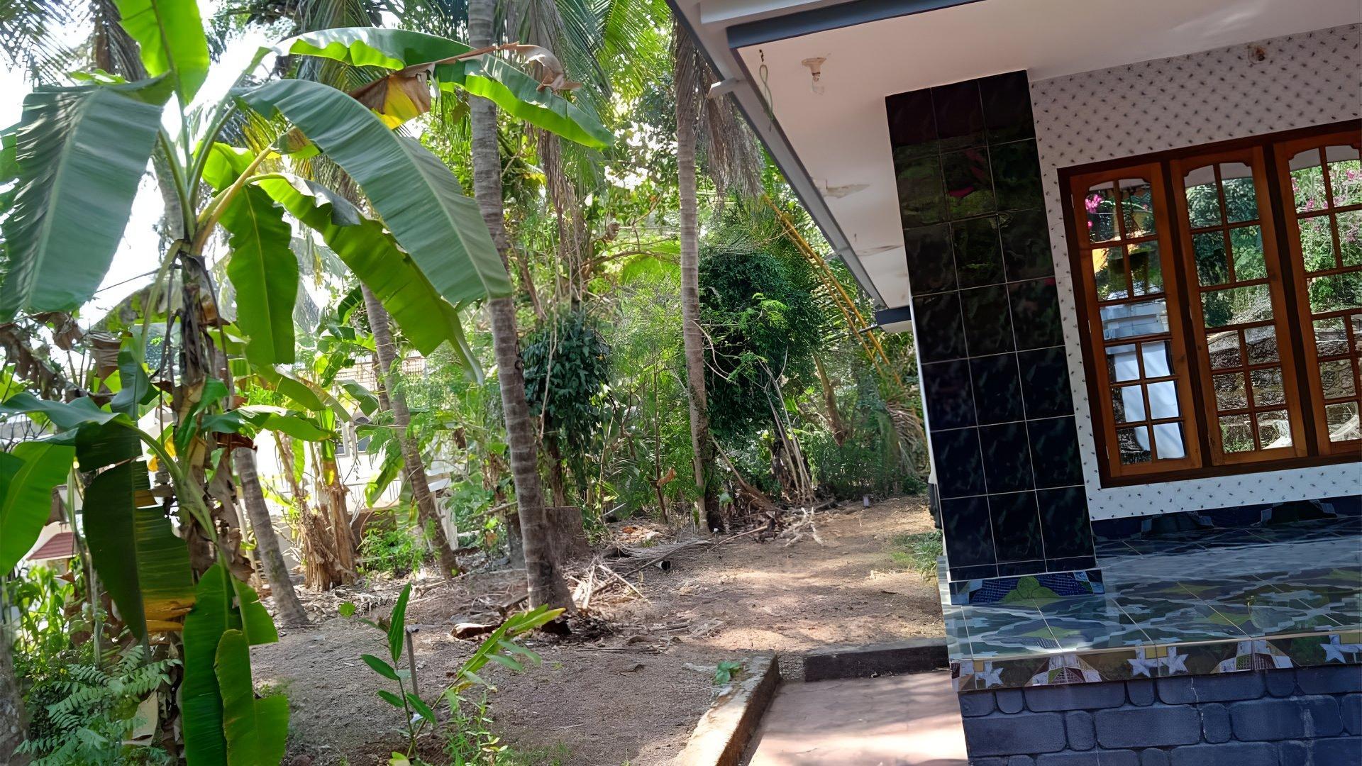 House At Pariyaram — photo 4