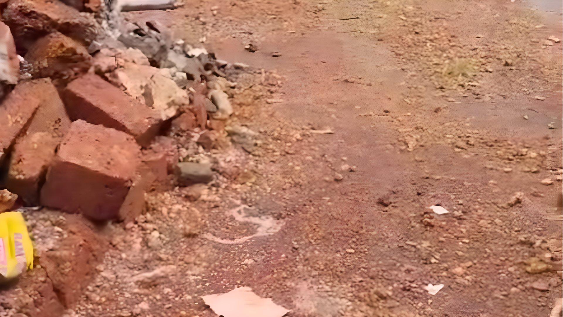 House At Thaliparamba - Image 6