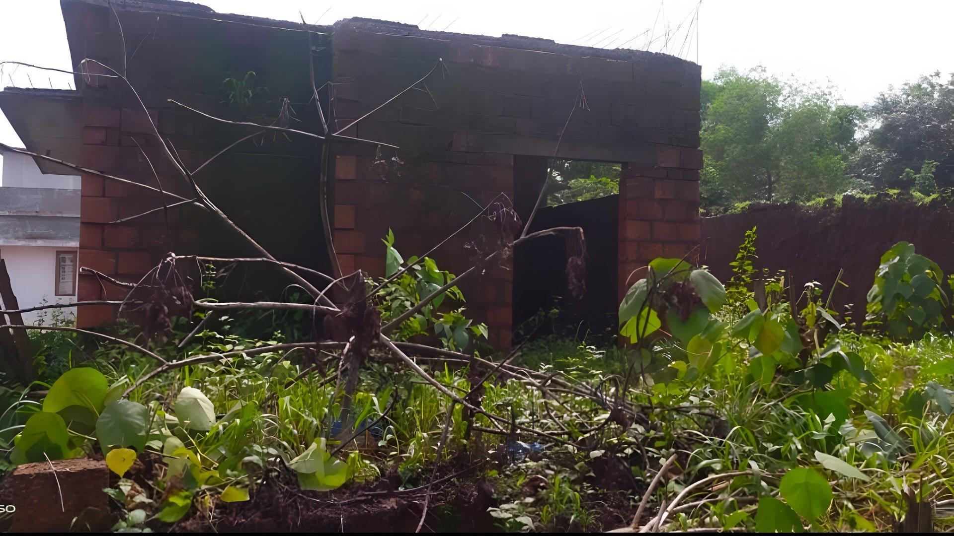 House At Thaliparamba — photo 11