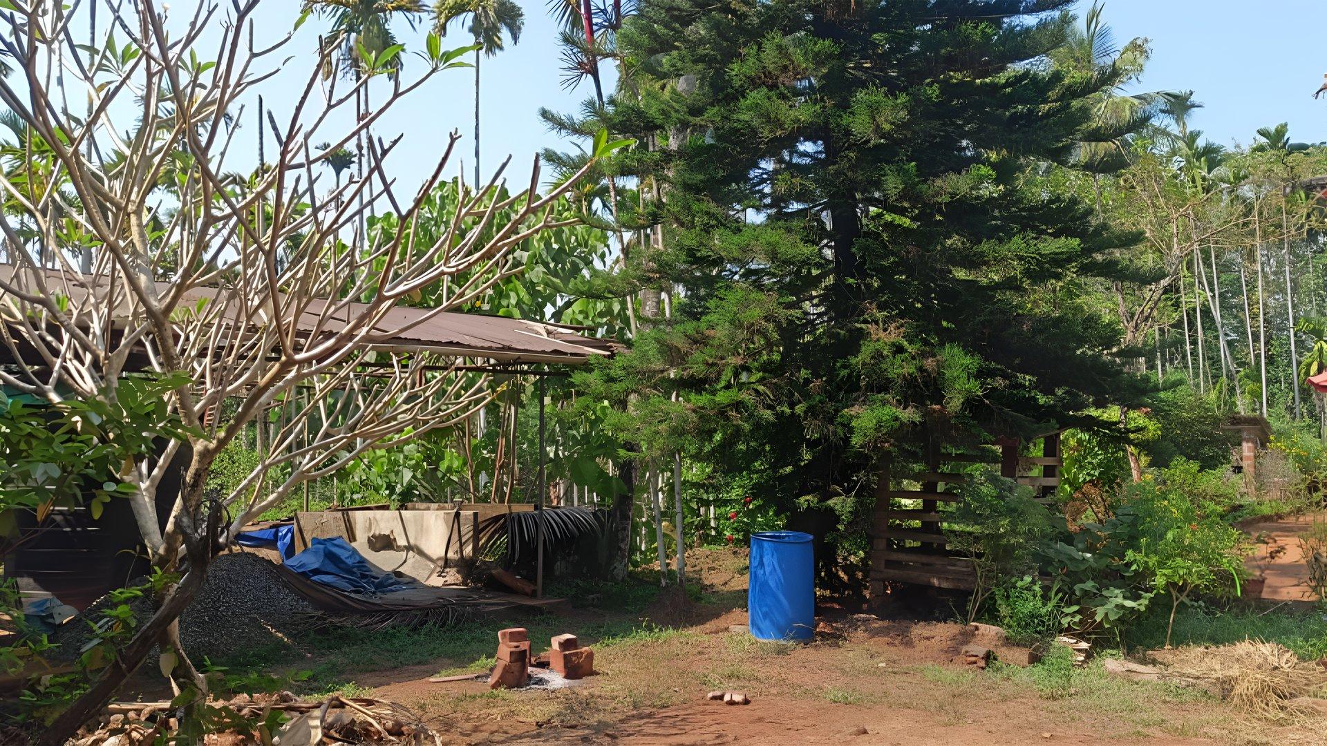 House And Plot At Chappara Padavu - Image 4