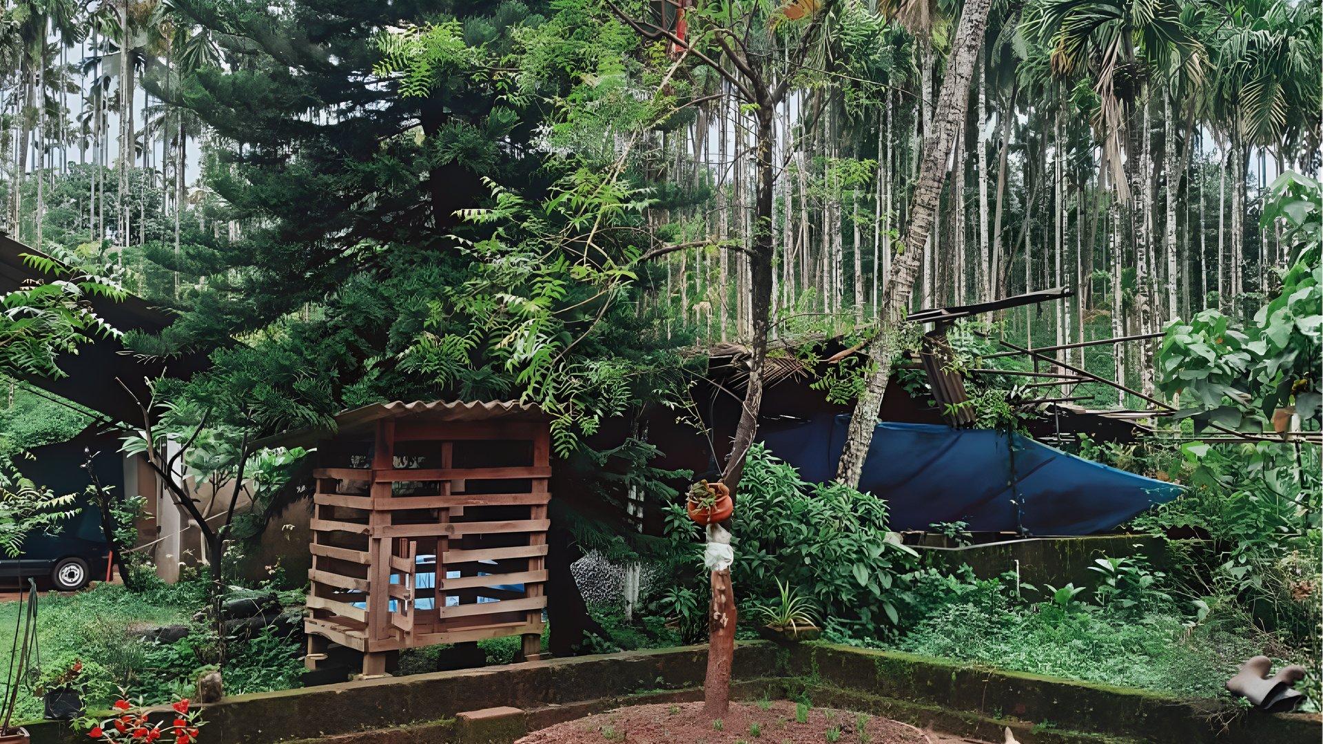 House And Plot At Chappara Padavu - Image 5