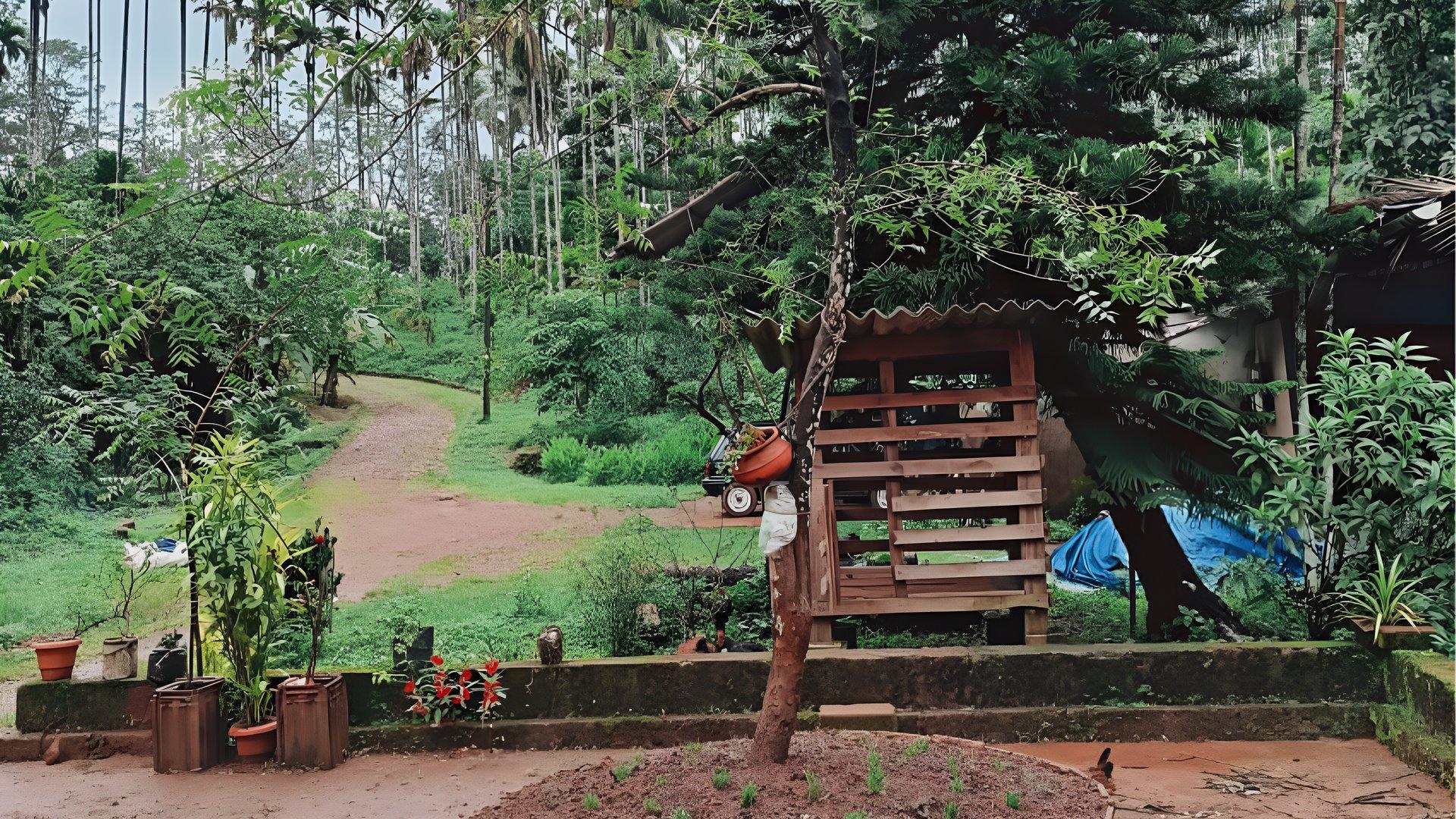 House And Plot At Chappara Padavu — photo 7