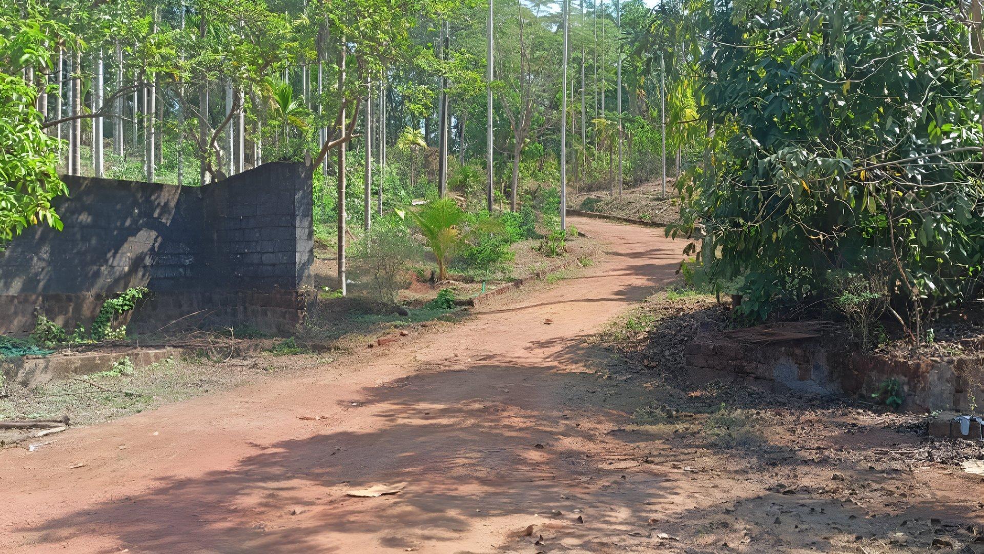 House And Plot At Chappara Padavu — photo 8