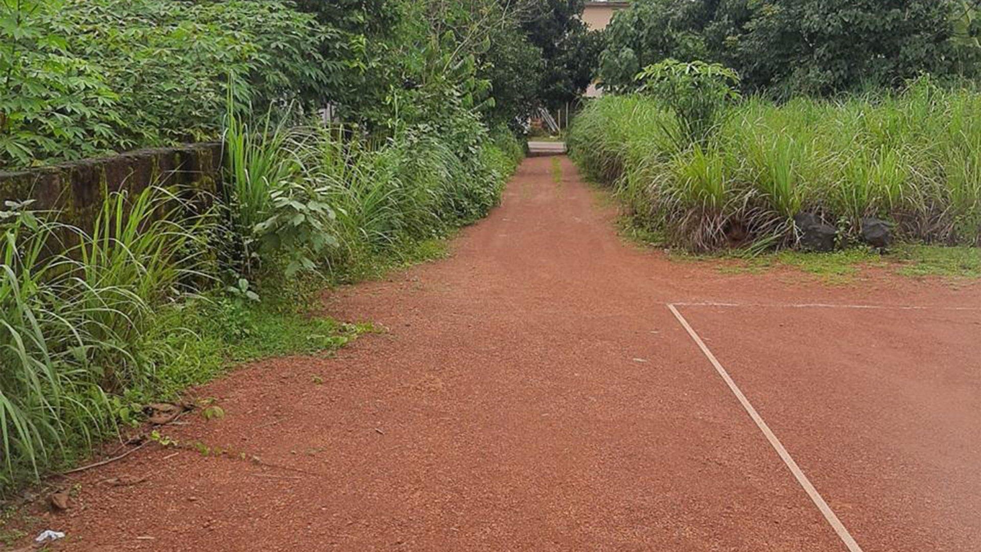 Plot At Chemberi — photo 11