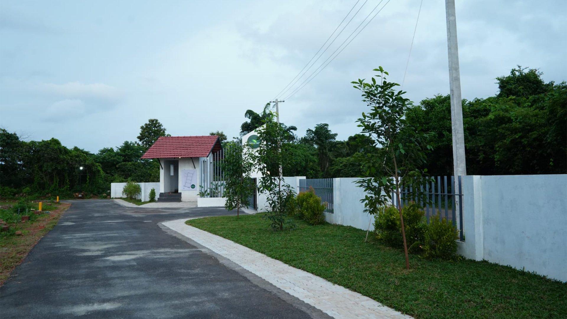 The Medows - Image 5