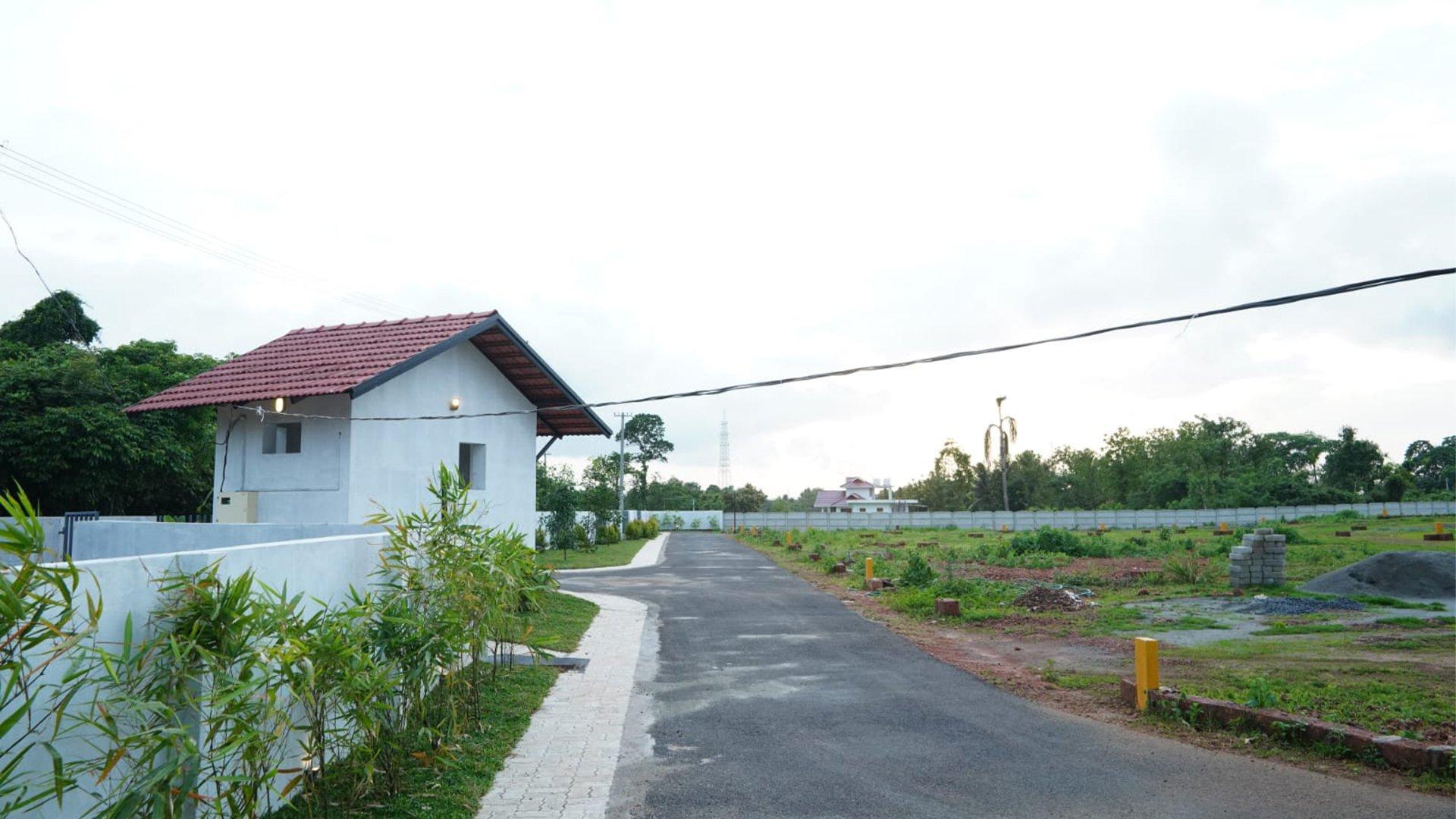 The Medows - Image 4