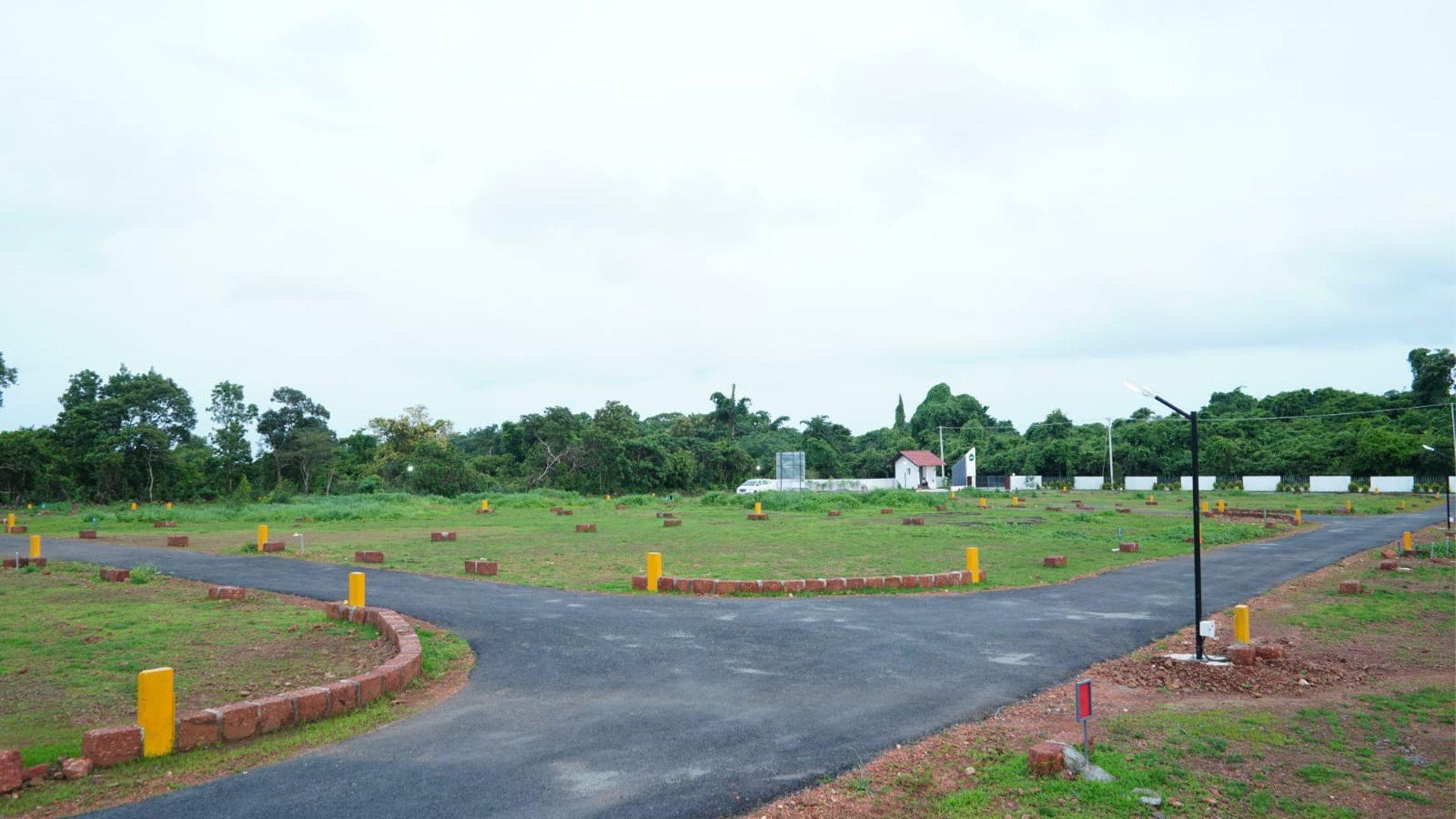 The Medows - Image 3