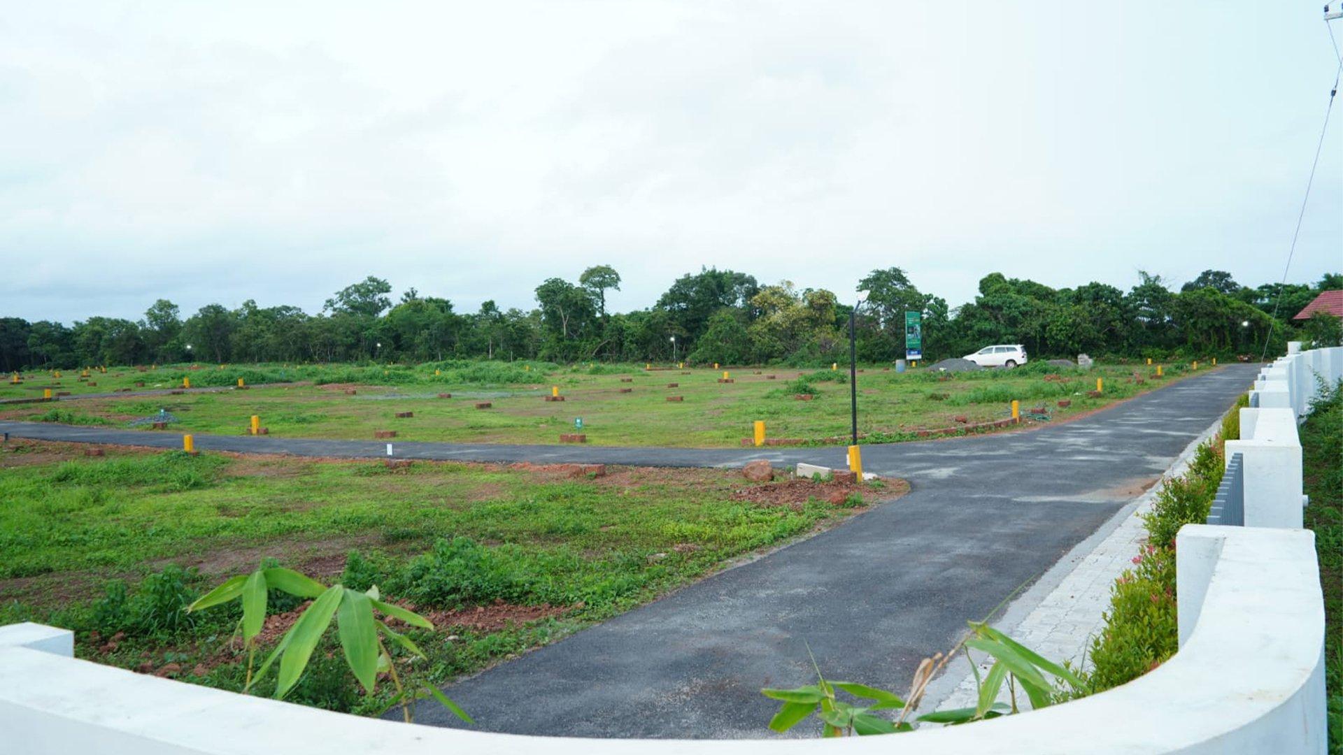 The Medows - Image 2