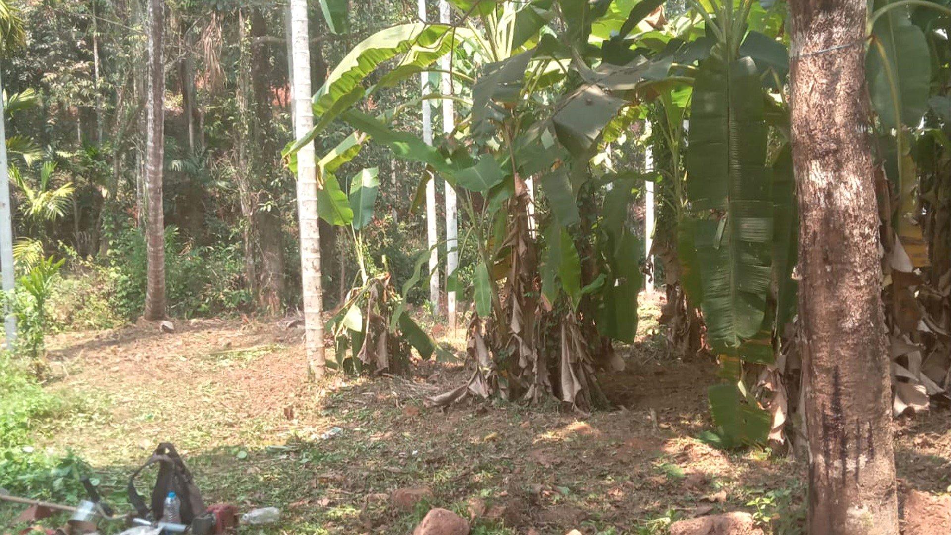 Plot Near By Kannur Airport — photo 10