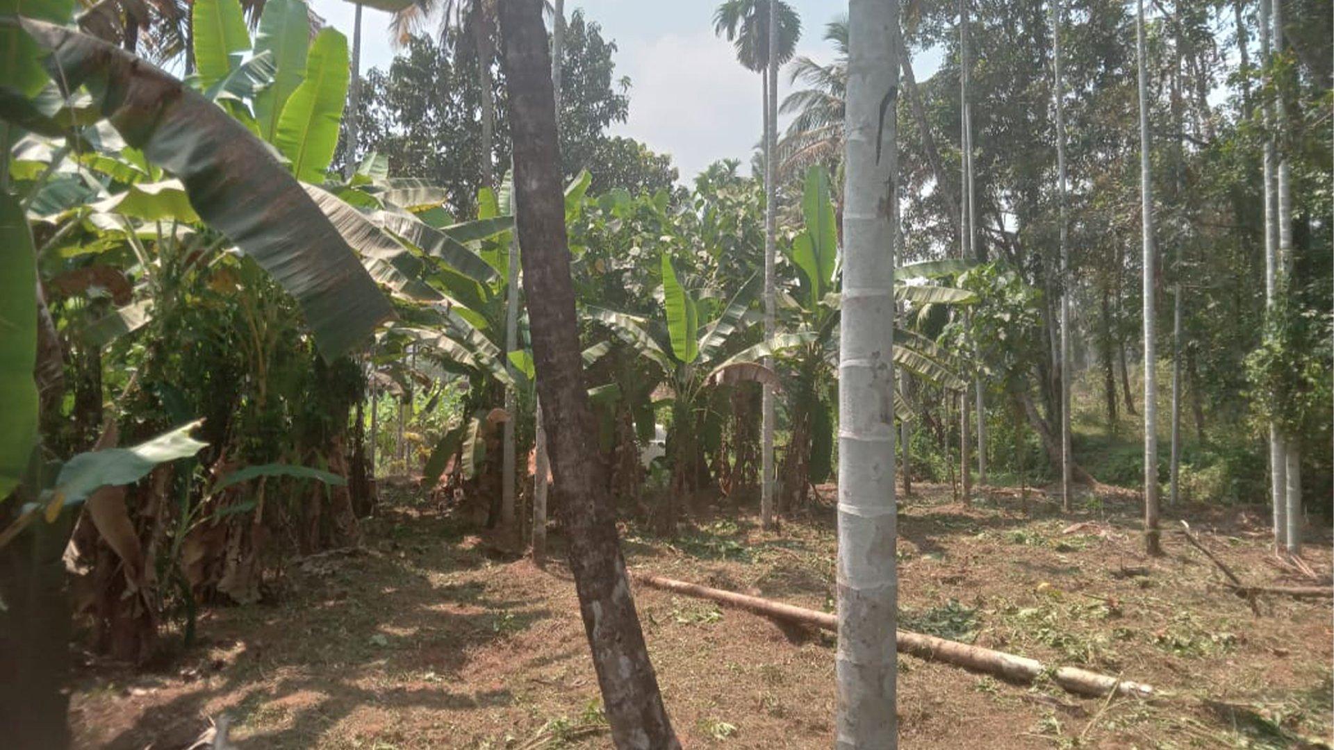 Plot Near By Kannur Airport - Image 6