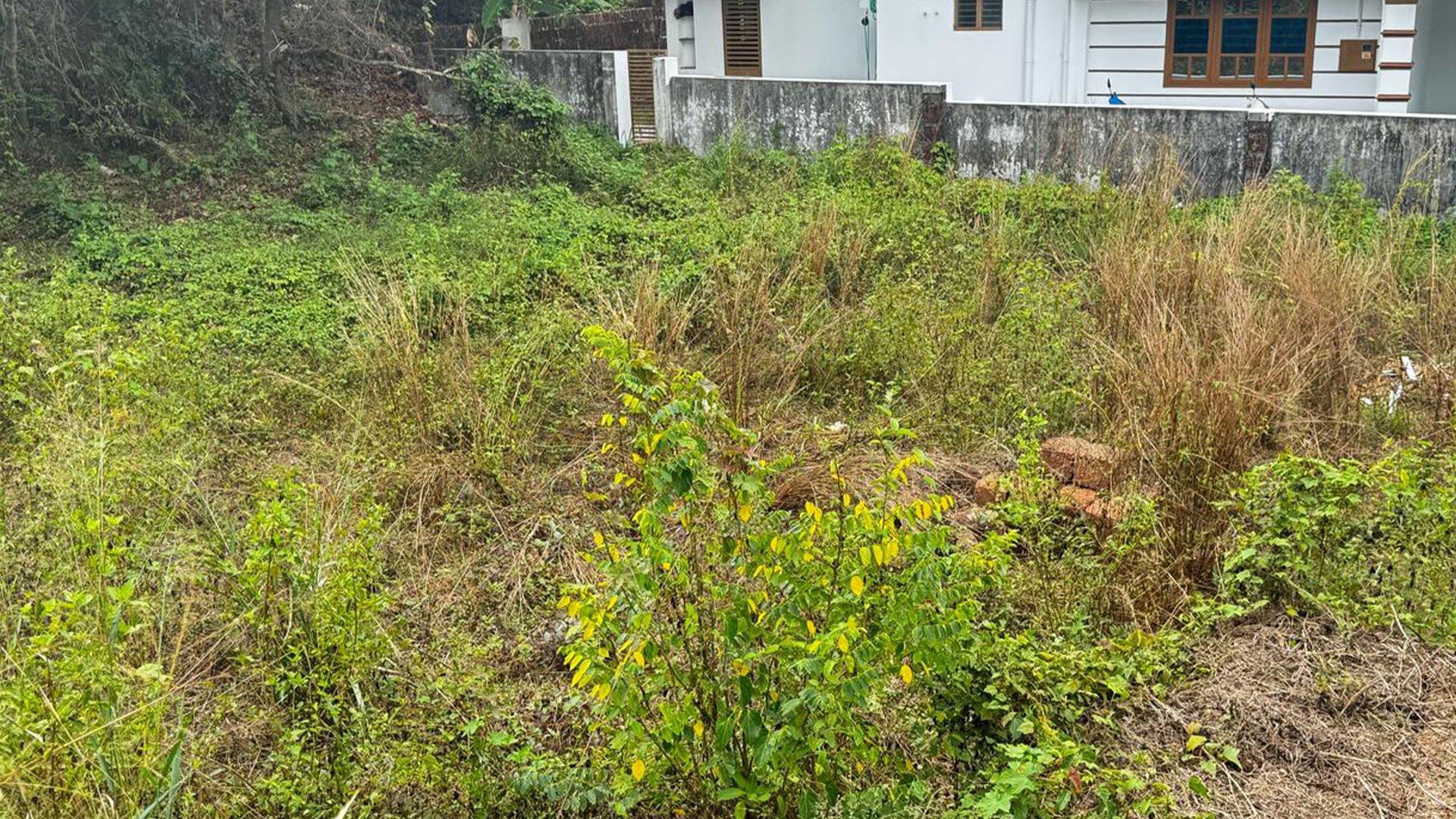 Plot At Chirakkal — photo 11