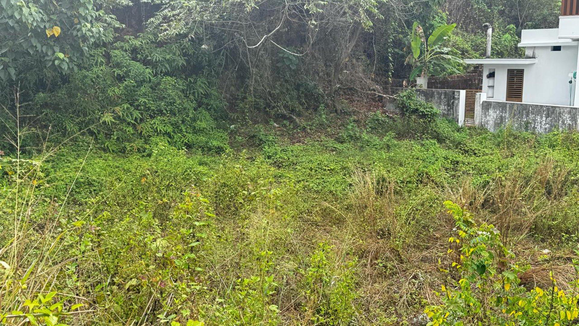 Plot At Chirakkal — photo 12