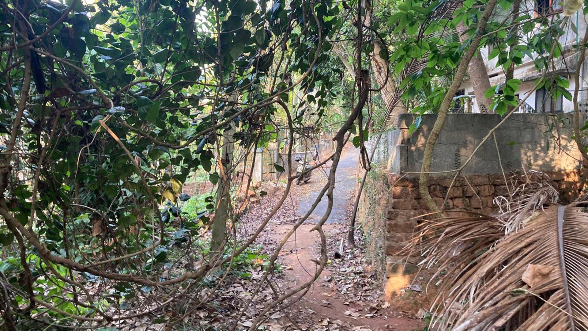 Plot At Chalakkara — photo 9