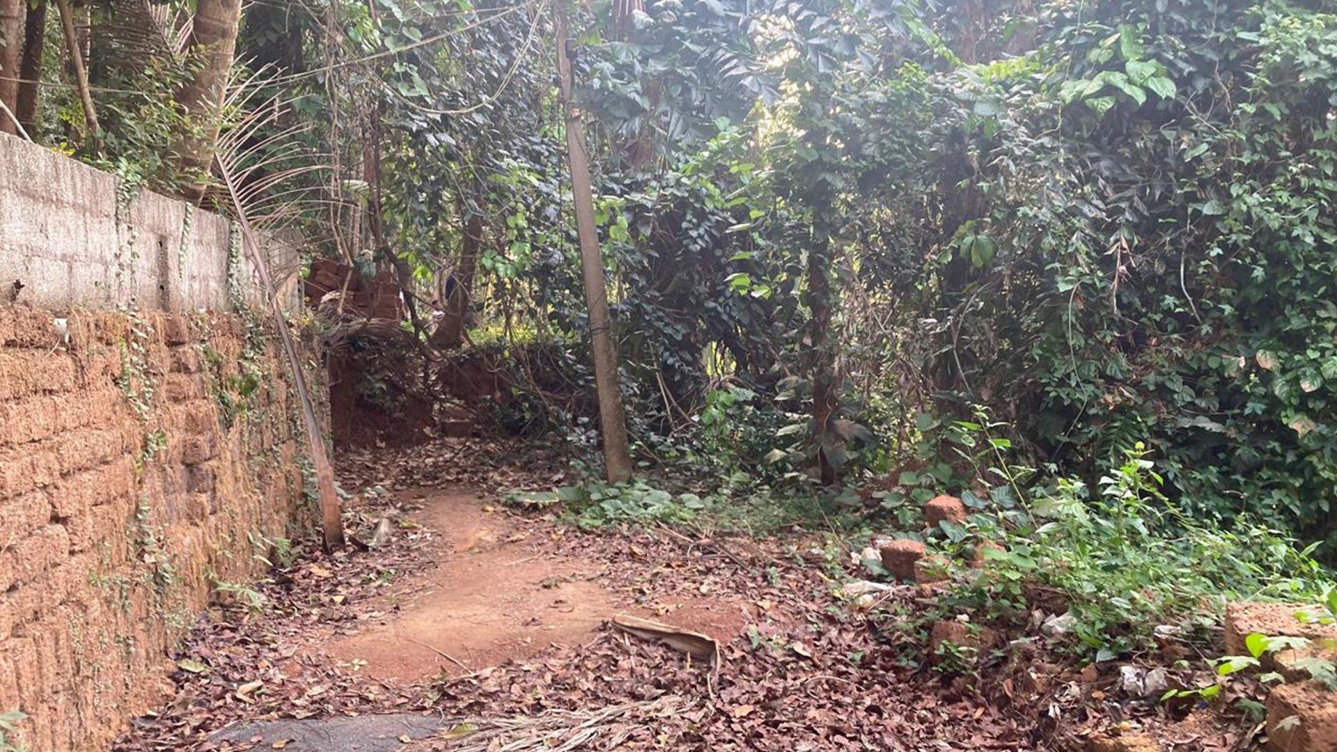 Plot At Chalakkara - Image 5