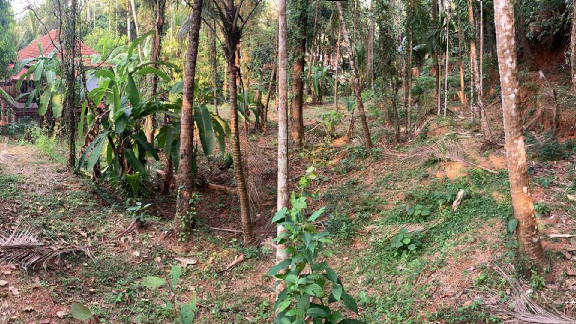 Plot At Chalakkara — photo 8