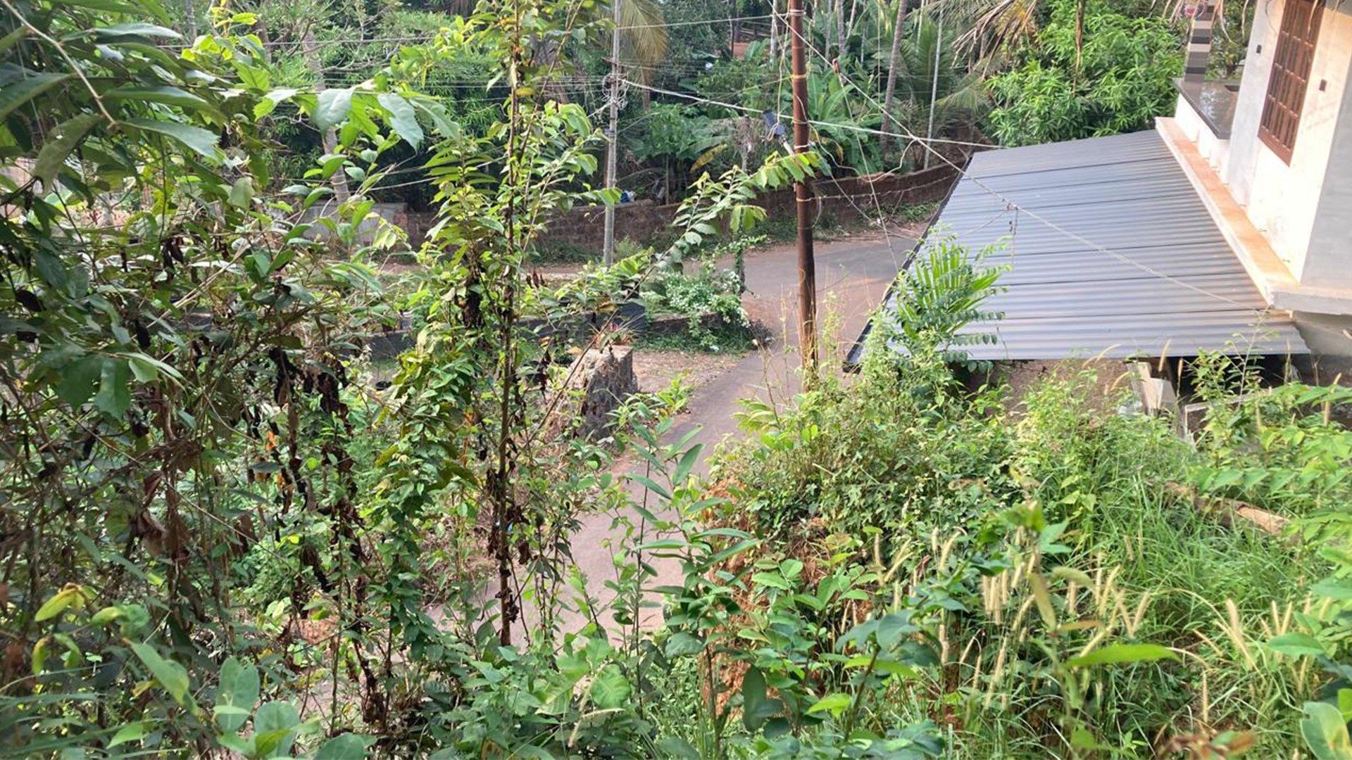 Plot At Chalakkara - Image 2