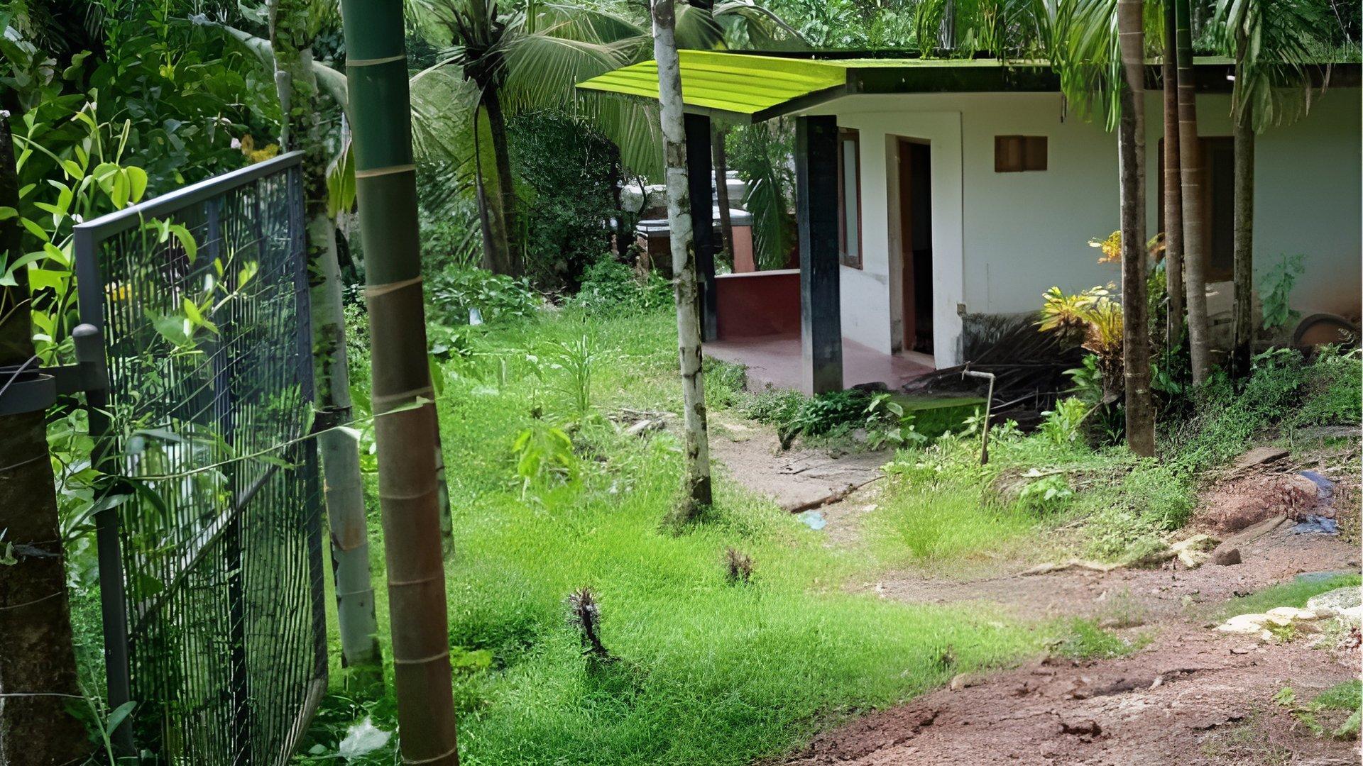 Plot At Palayad — photo 10