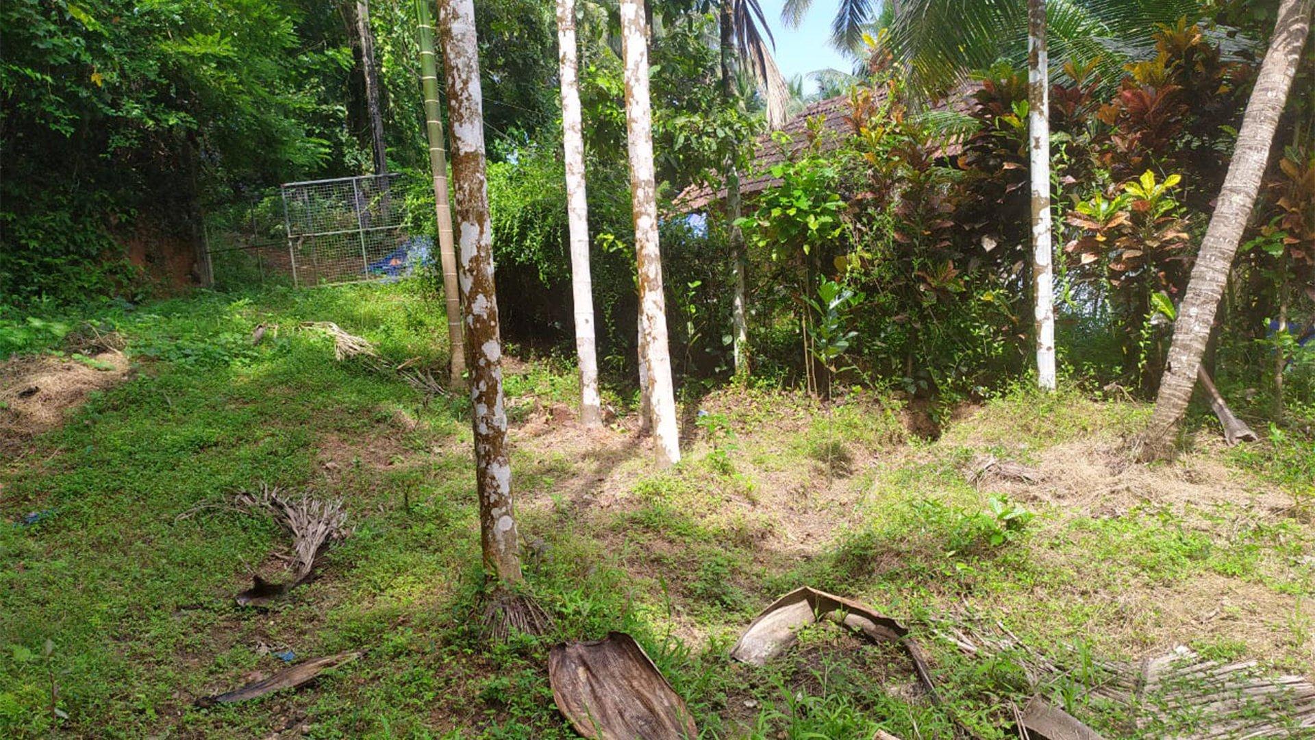 Plot At Palayad — photo 8