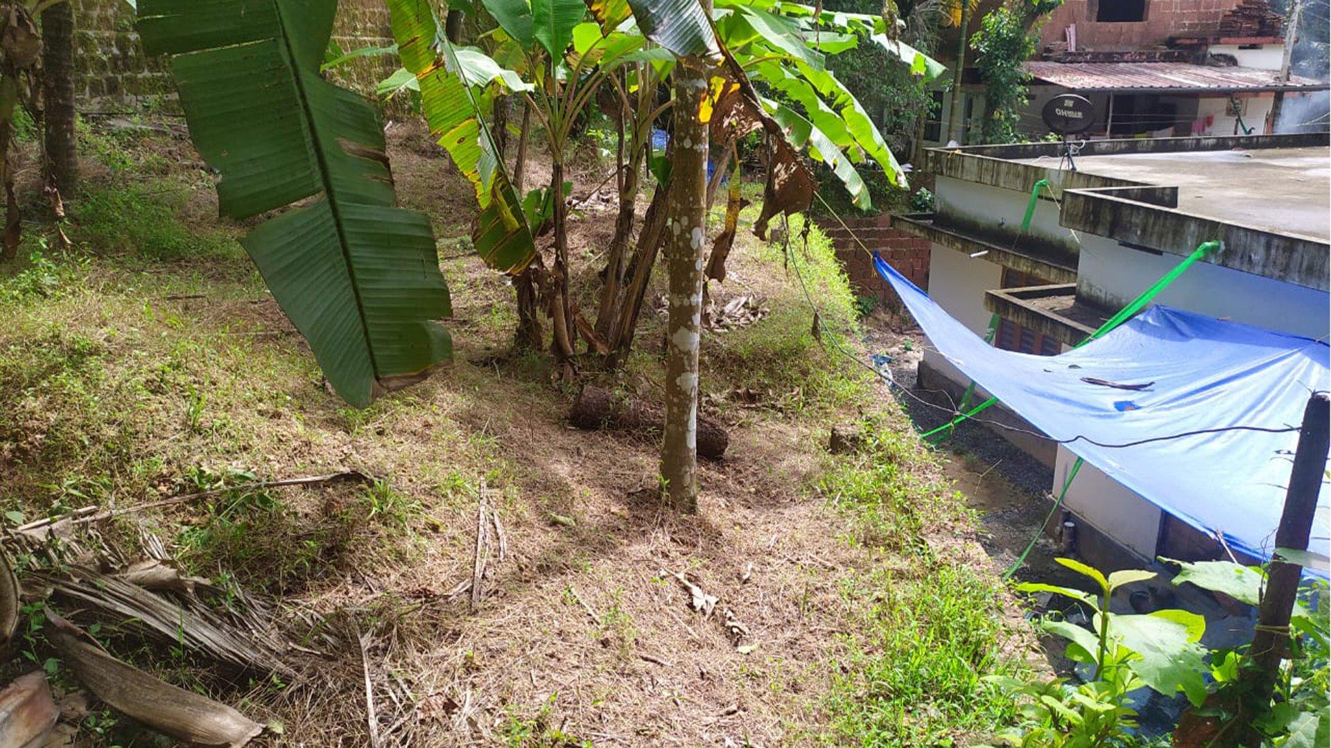 Plot At Palayad - Image 2