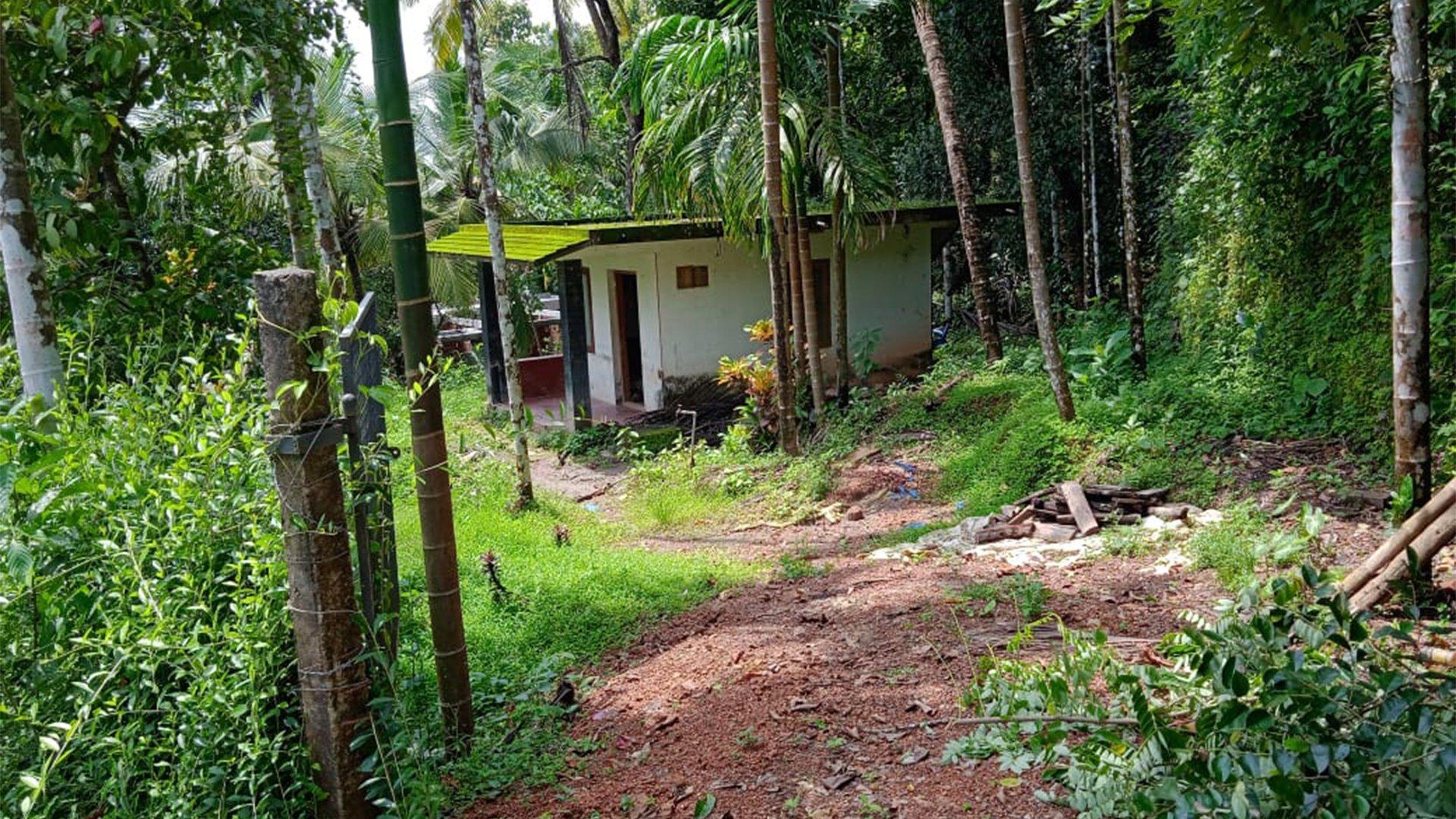 Plot At Palayad - Image 4