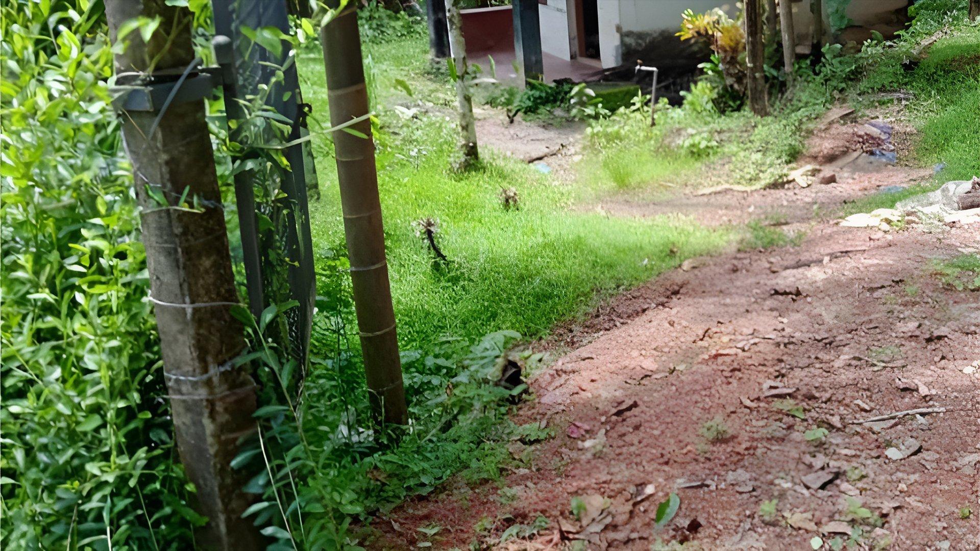 Plot At Palayad — photo 9