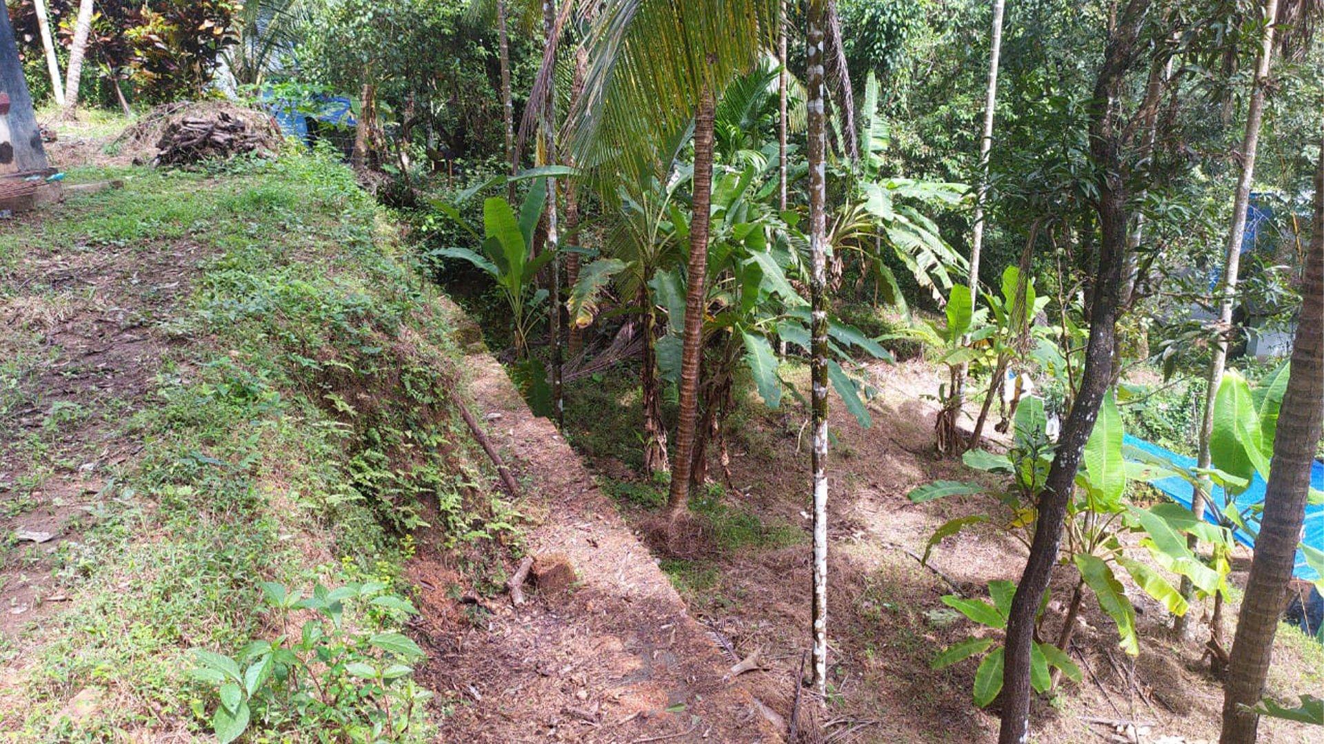 Plot At Palayad - Image 6