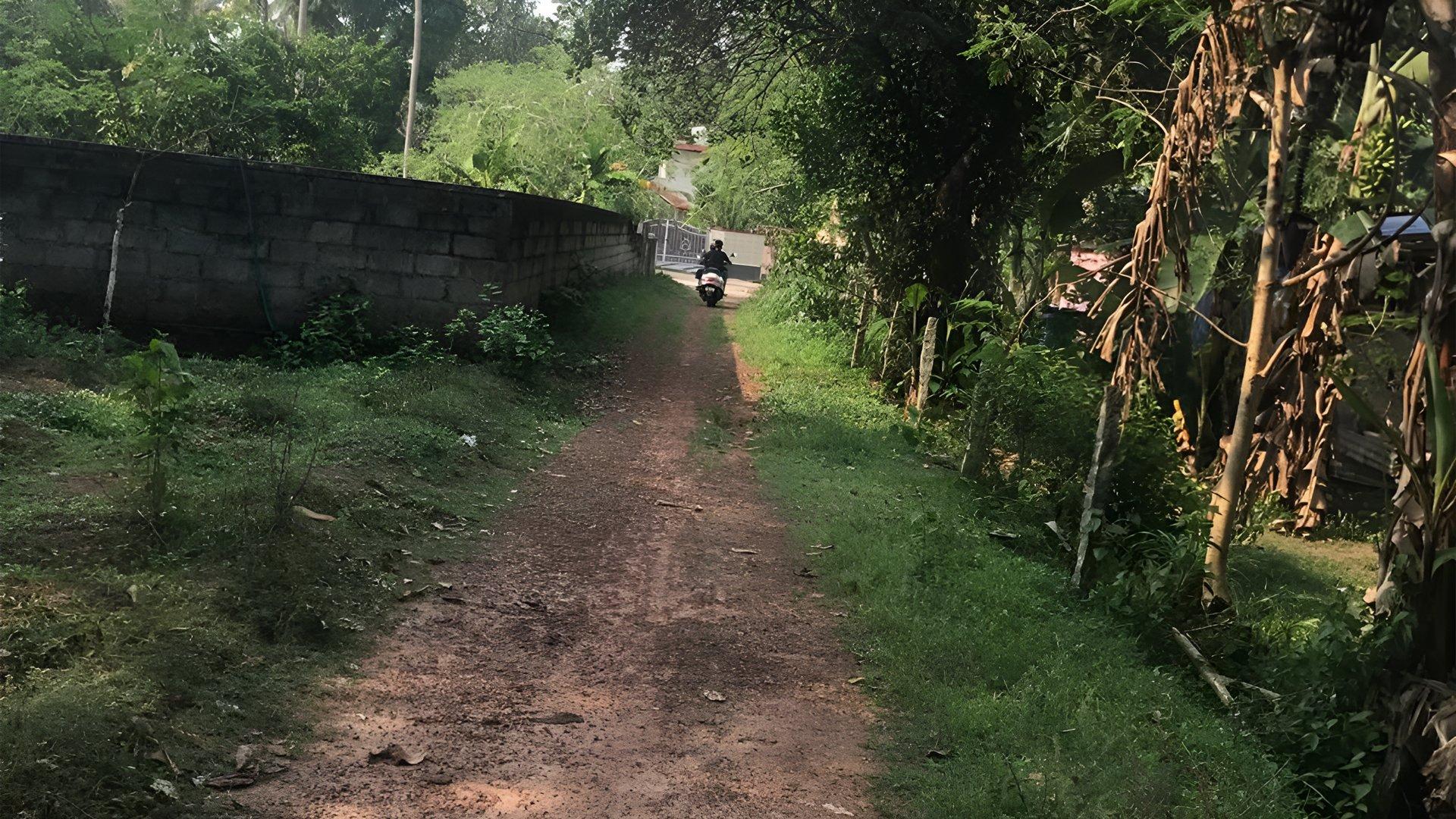 Plot At Chemmaruthy — photo 18