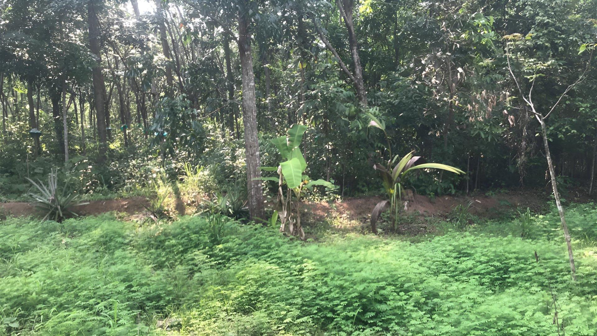 Plot At Chemmaruthy — photo 14