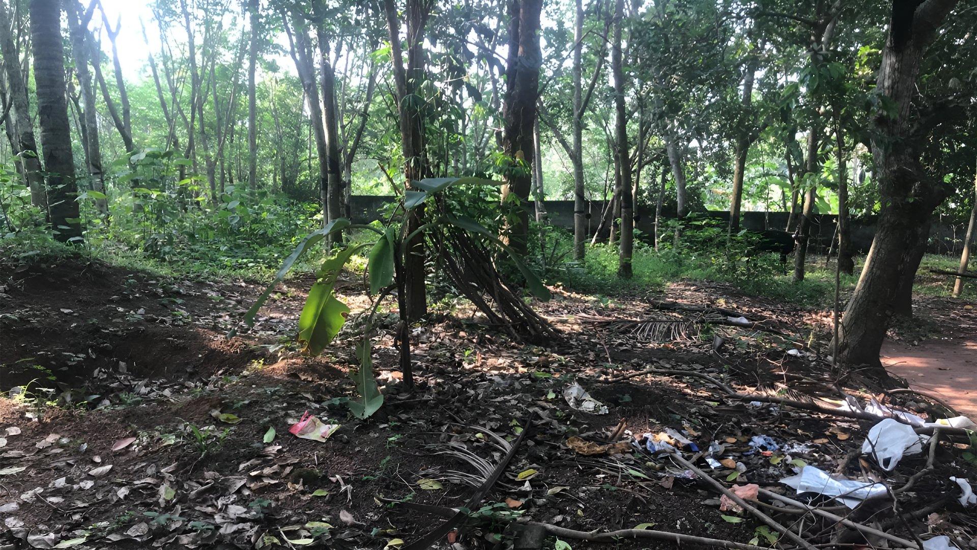 Plot At Chemmaruthy — photo 15