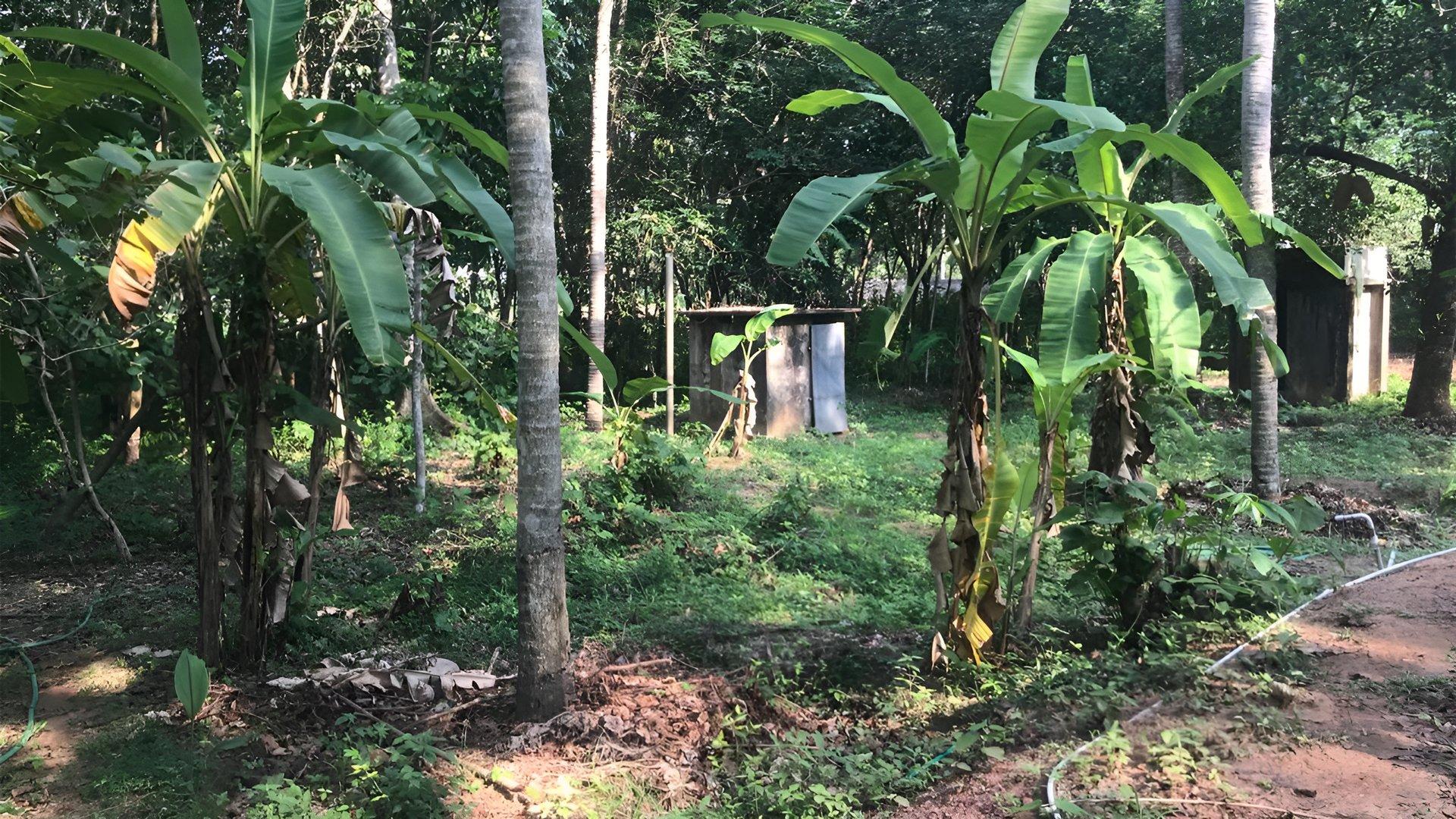 Plot At Chemmaruthy — photo 17