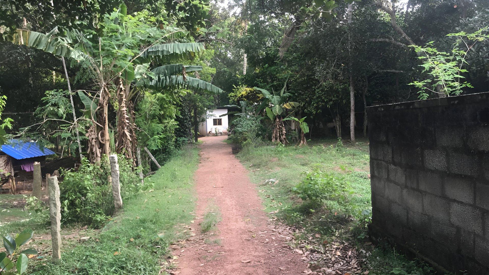 Plot At Chemmaruthy — photo 12