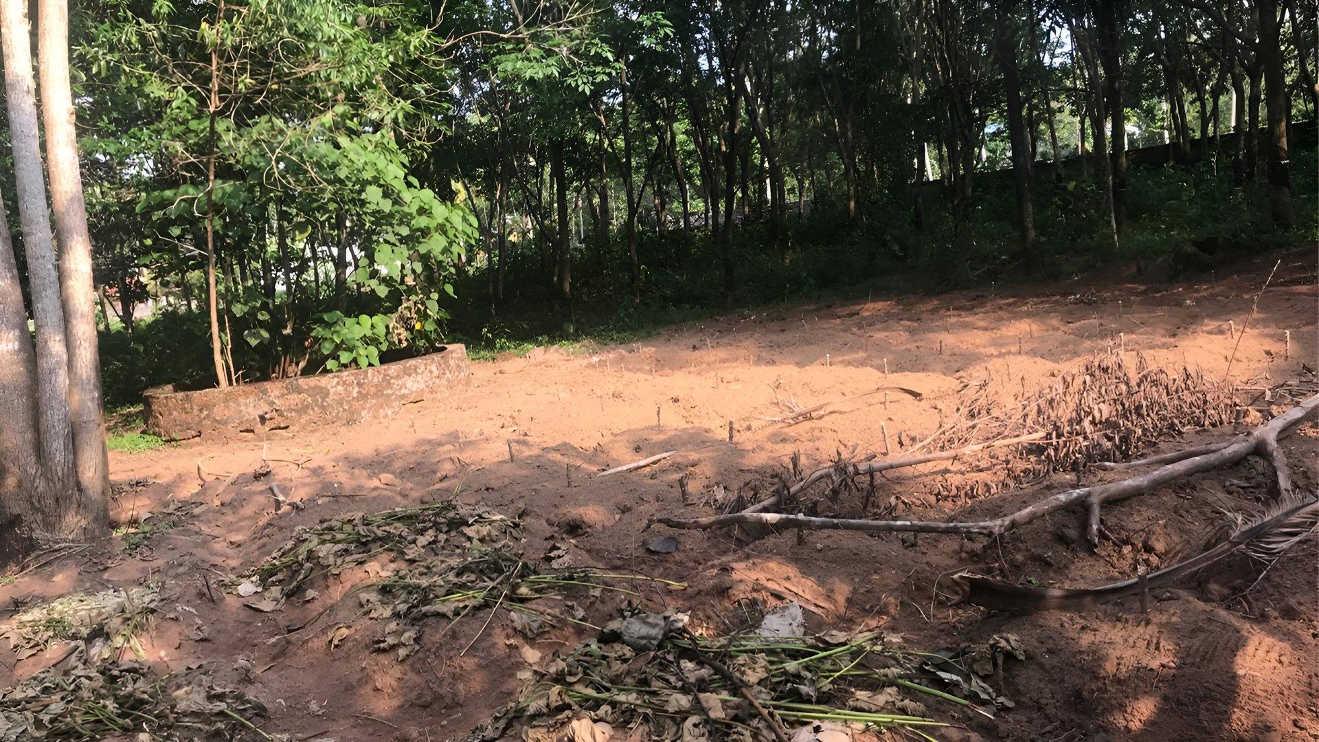 Plot At Chemmaruthy - Image 4