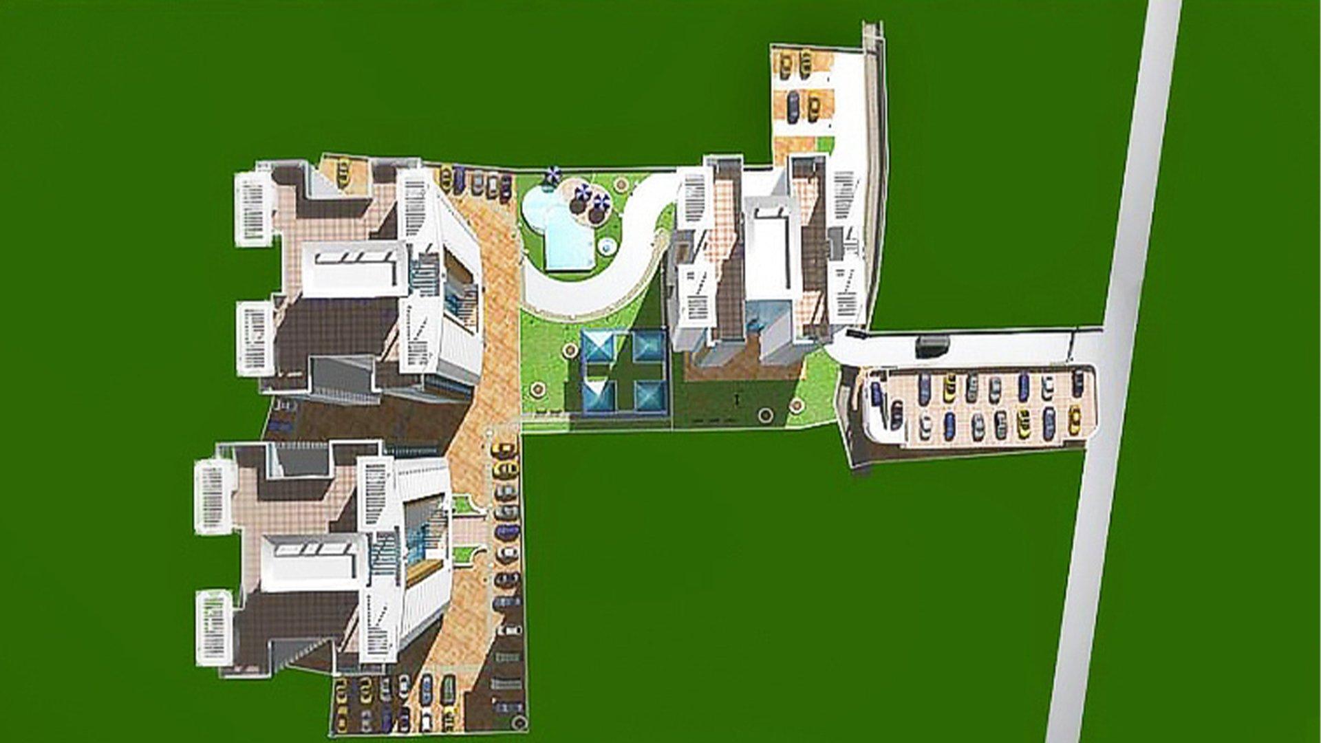 Green City Orchid - Image 3