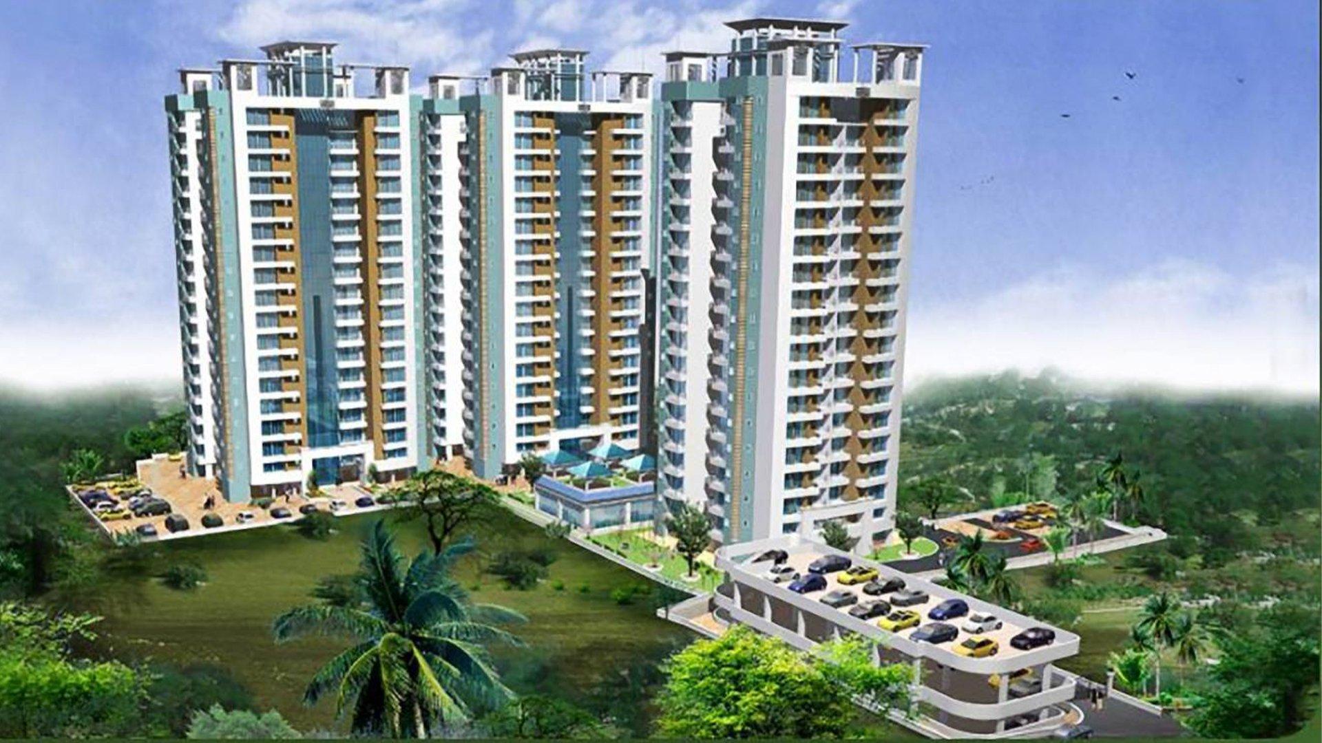 Green City Orchid - Image 5