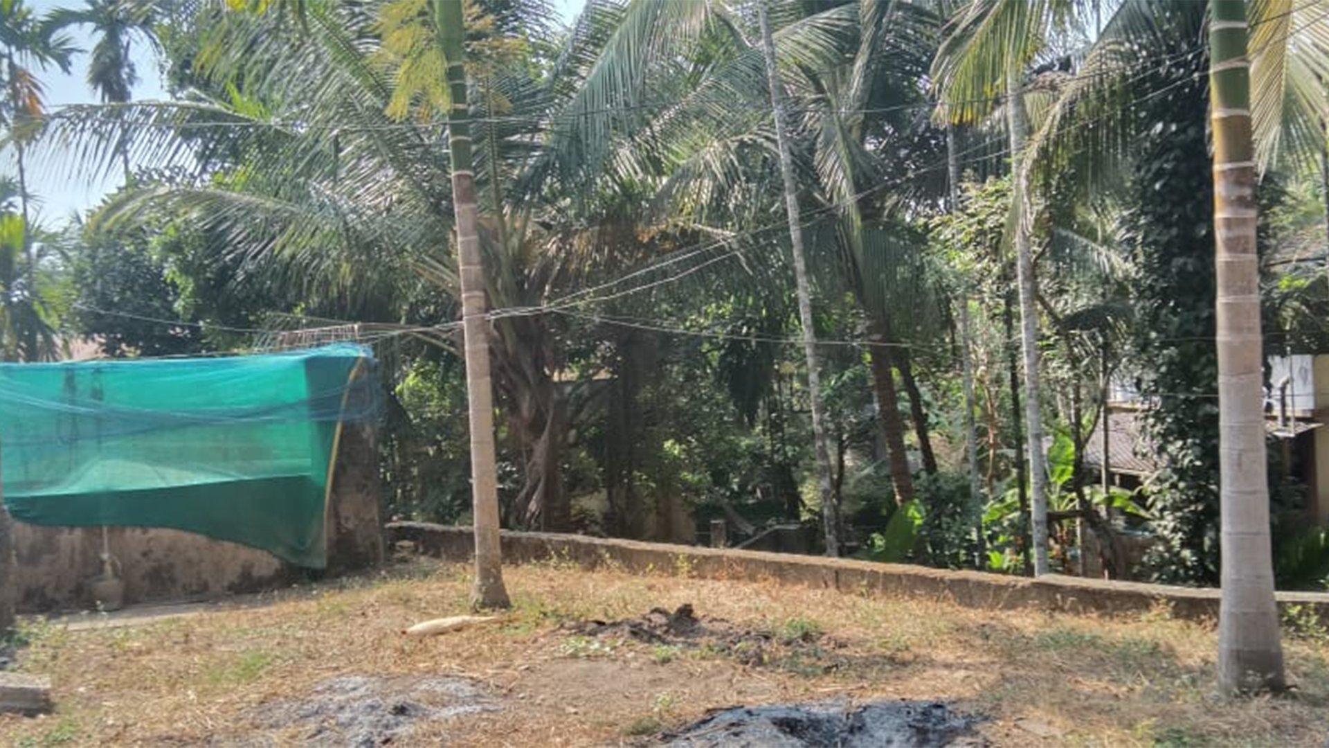 House At Manjeri - Image 6