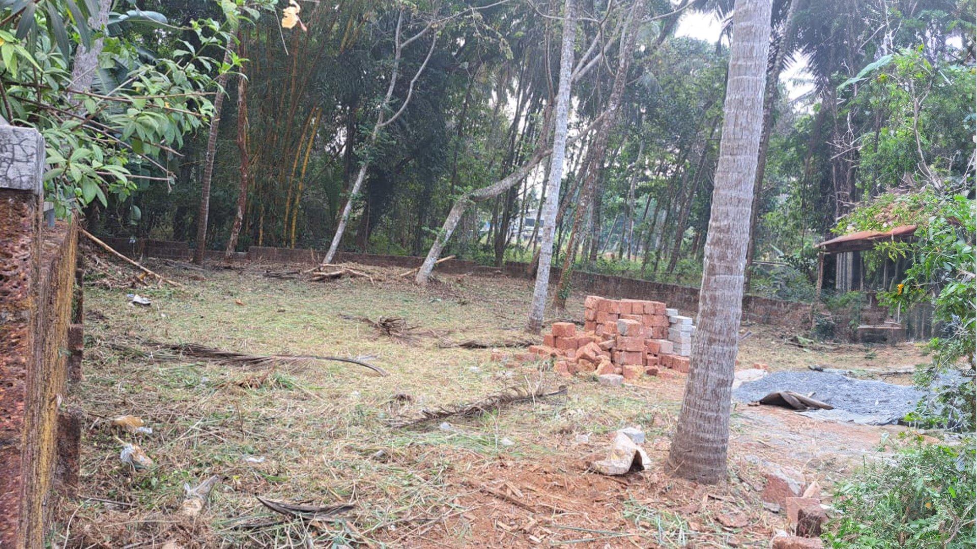 Plot At Chirakkal — photo 9