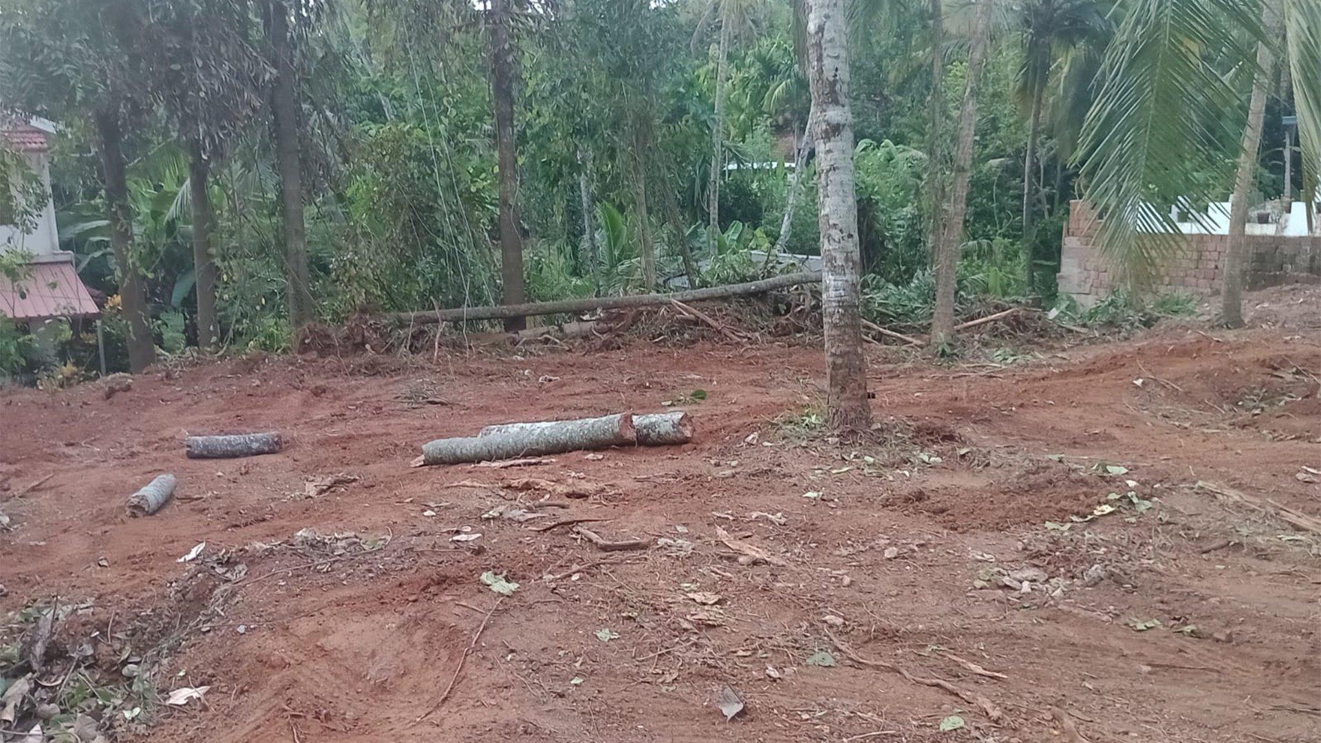 Plot At Azhikode — photo 10