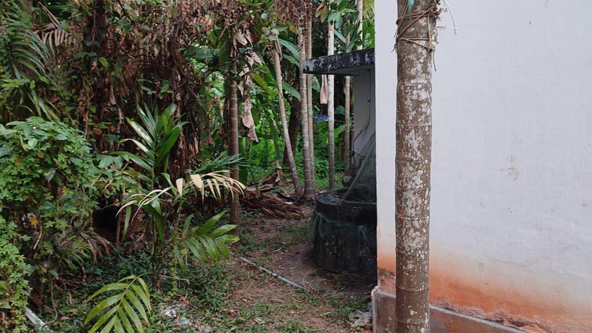 Plot With House At Dharmadam — photo 9