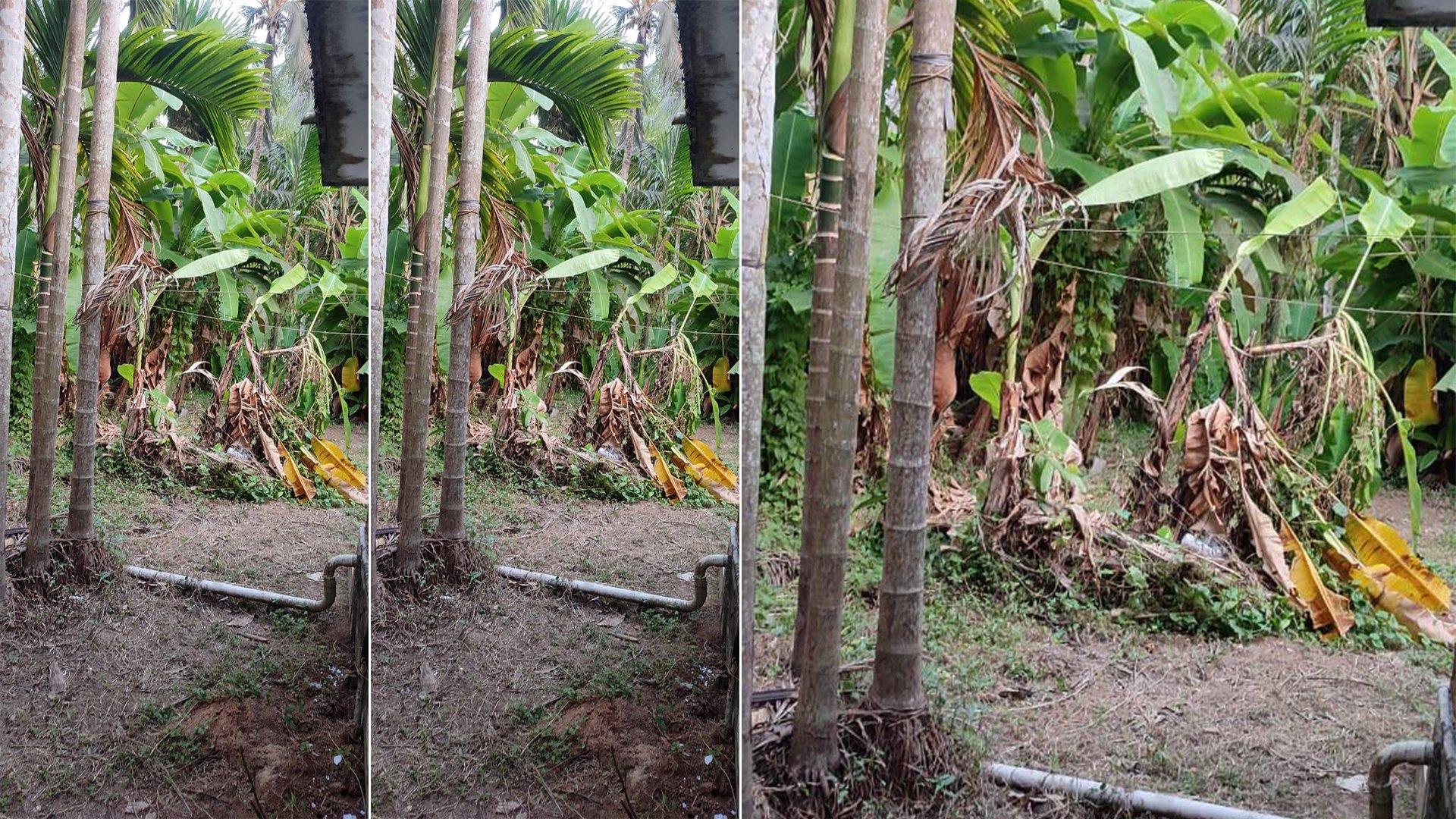 Plot With House At Dharmadam — photo 12