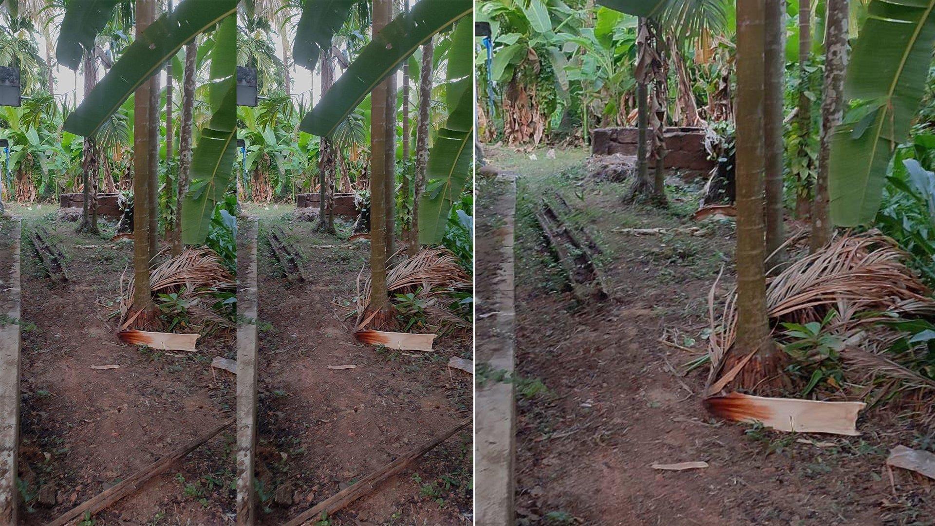 Plot With House At Dharmadam - Image 6