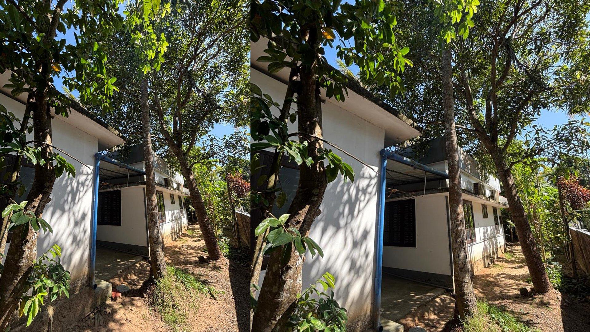 House At Chirayinkeezhu - Image 6