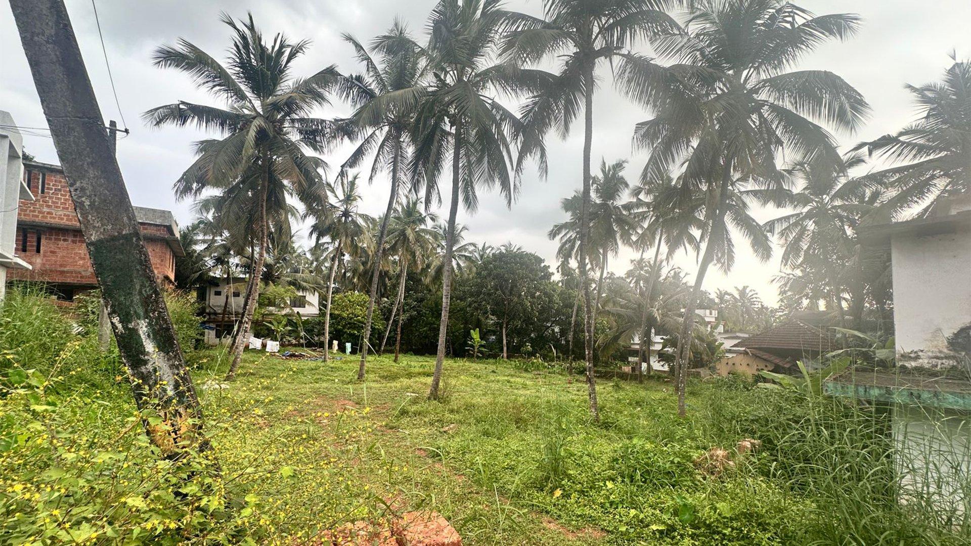 Plot At Adikadalayi - Image 6
